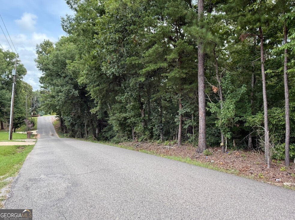 0 Allison Drive Lot 9 Property Photo 12