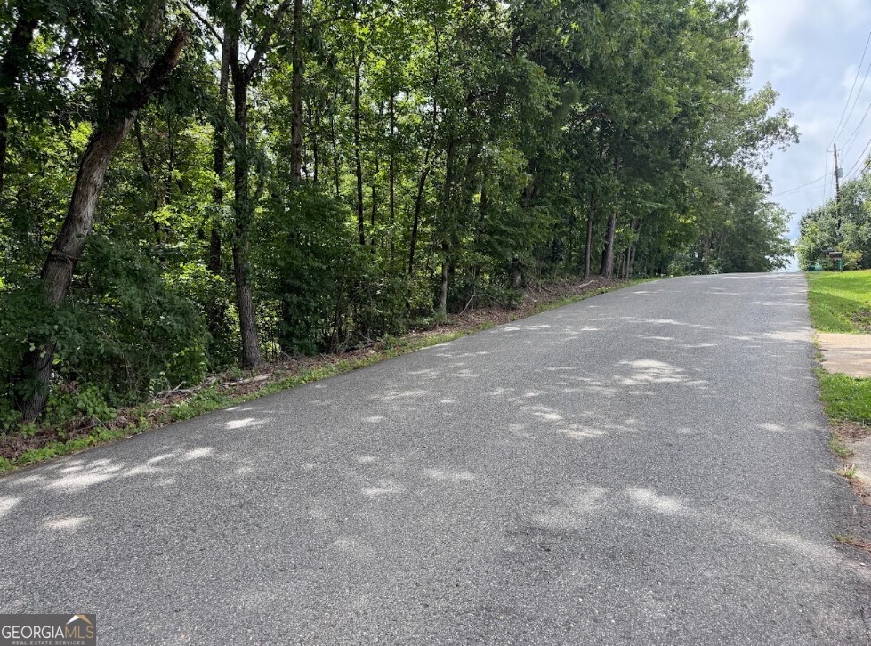 0 Allison Drive Lot 9 Property Photo 14