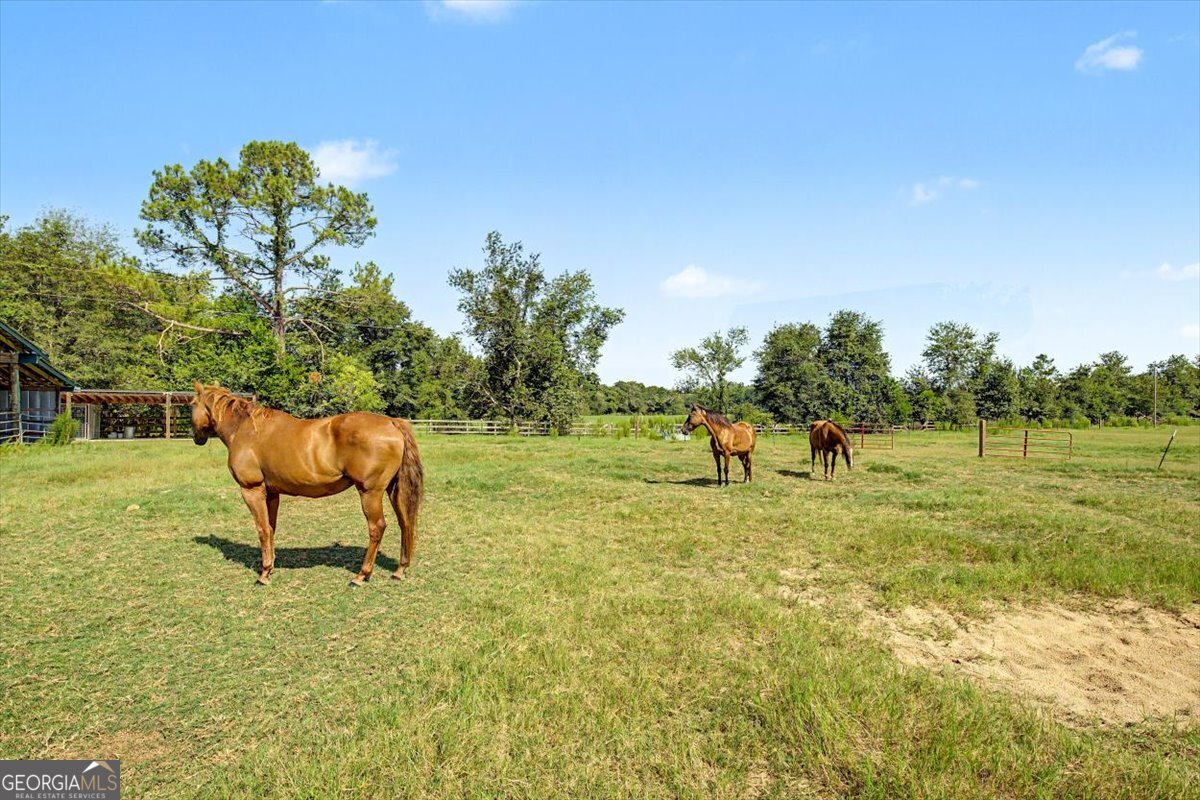 4781 Lj Road Property Photo 45