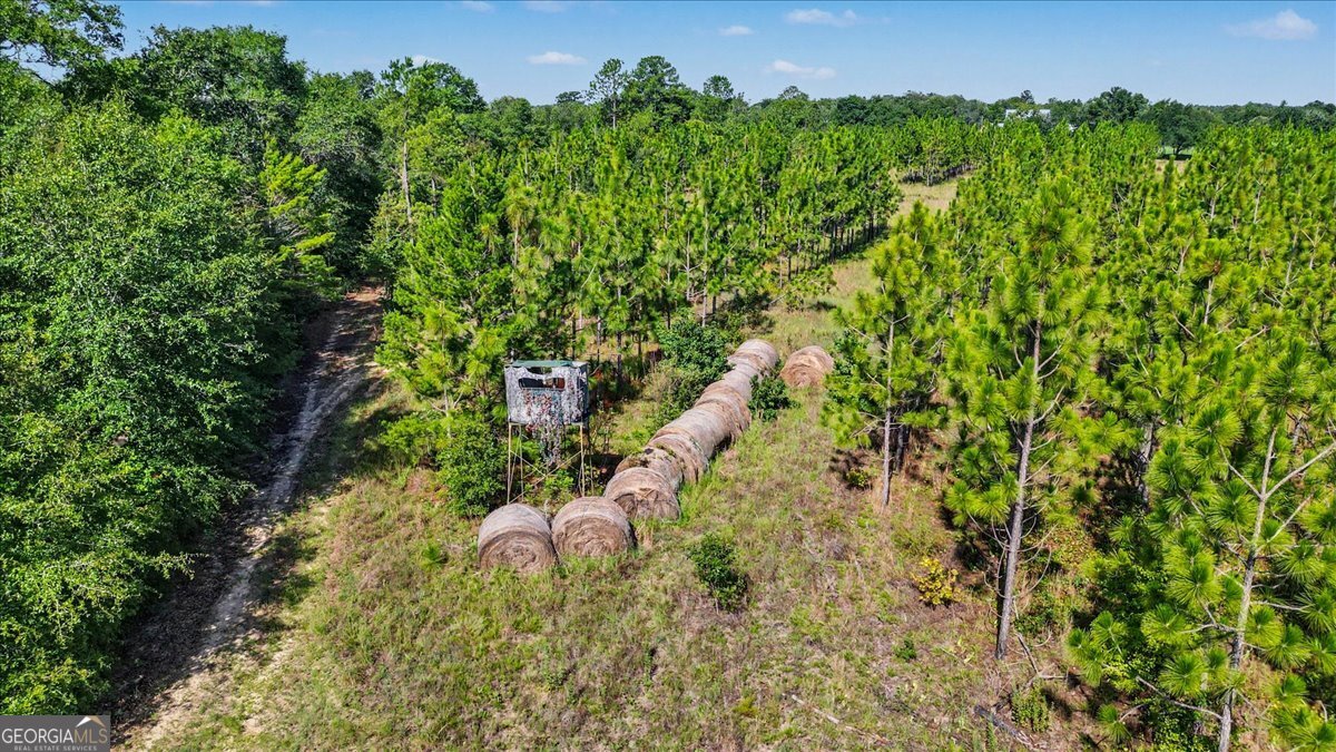 4781 Lj Road Property Photo 65