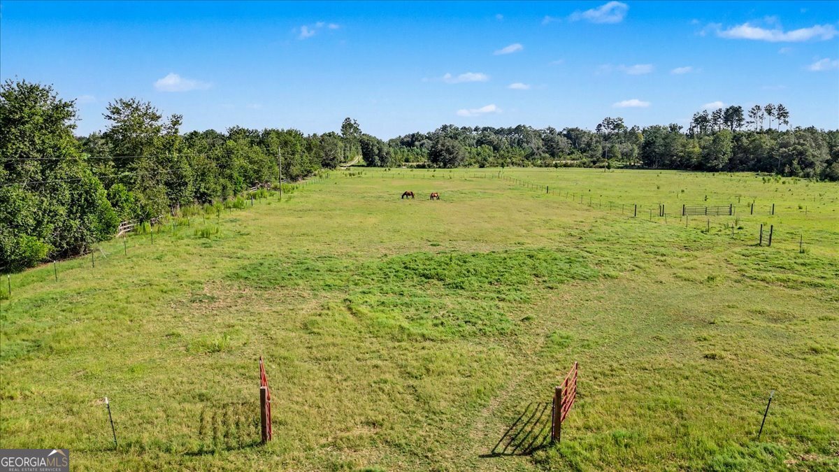 4781 Lj Road Property Photo 59