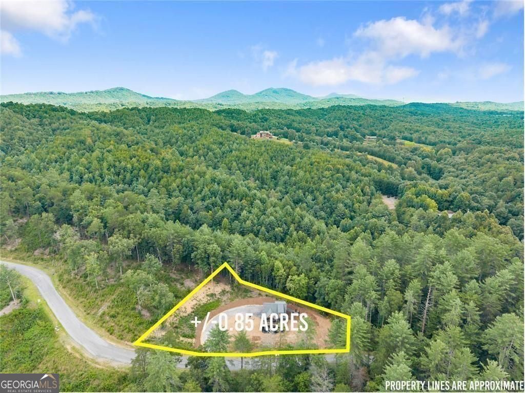 184 Mountain Laurel Ridge Property Photo 25