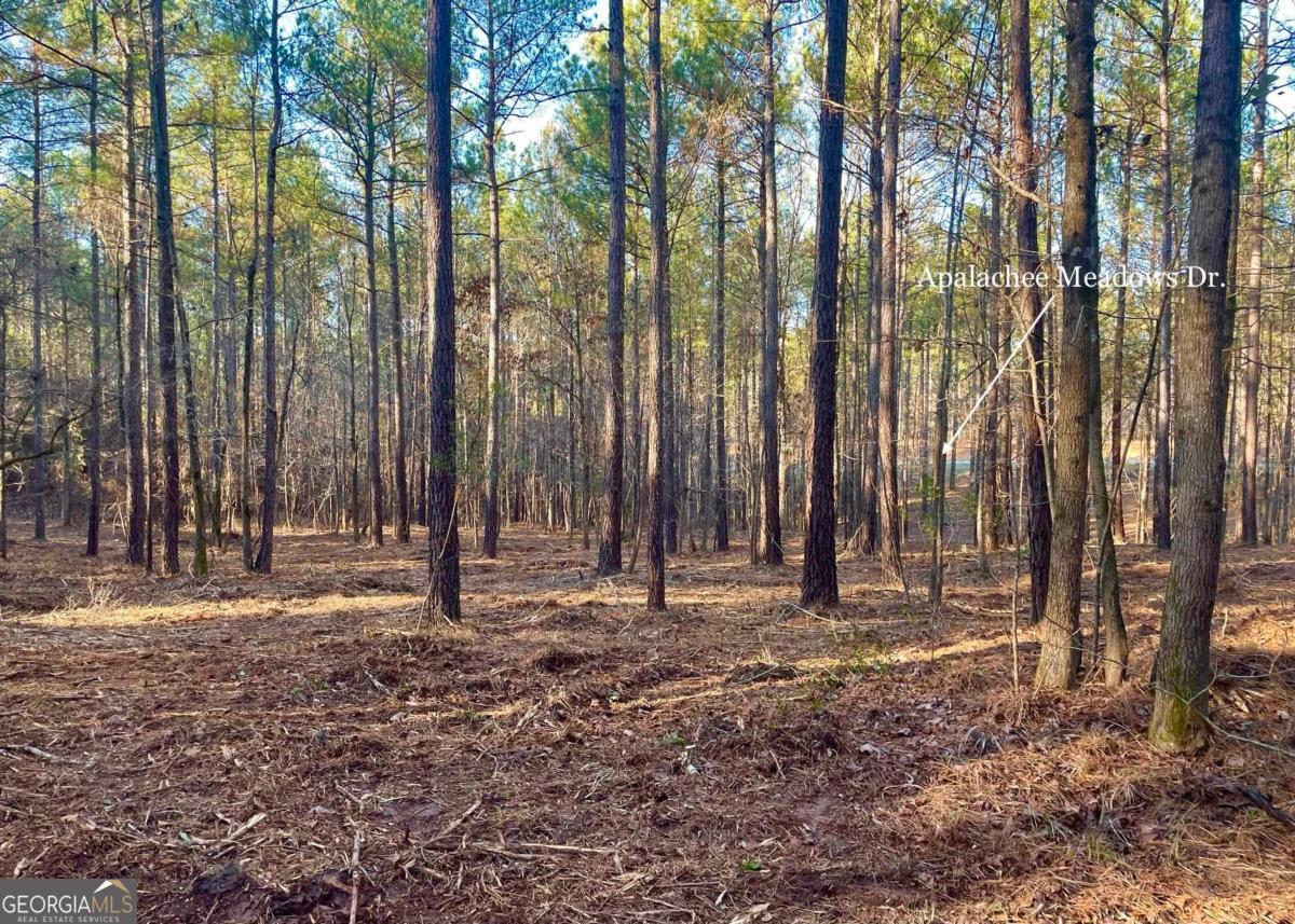 24 Apalachee Meadows Drive # 24 Property Photo 5