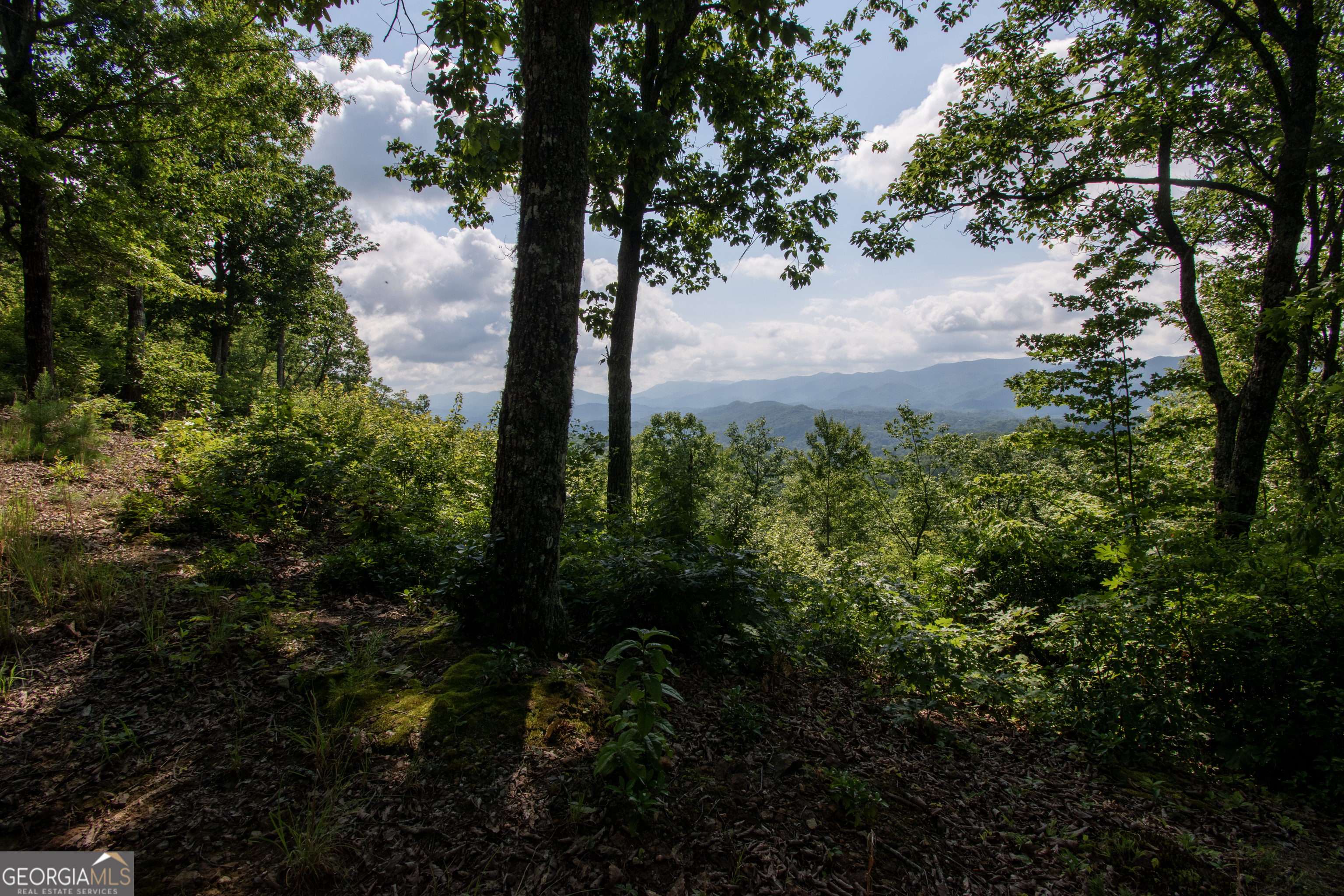 850 Bluff Road Property Photo 1