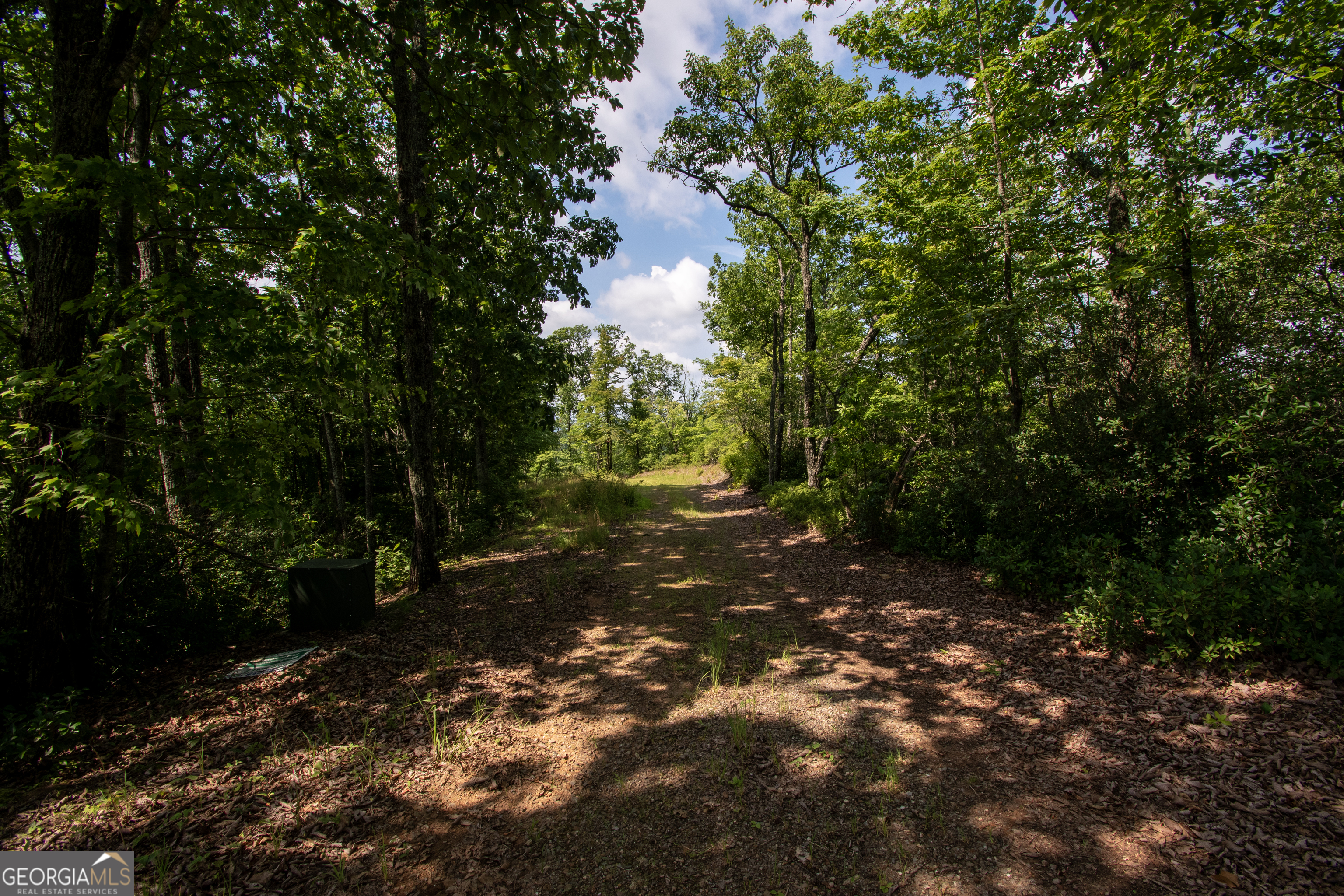 850 Bluff Road Property Photo 3