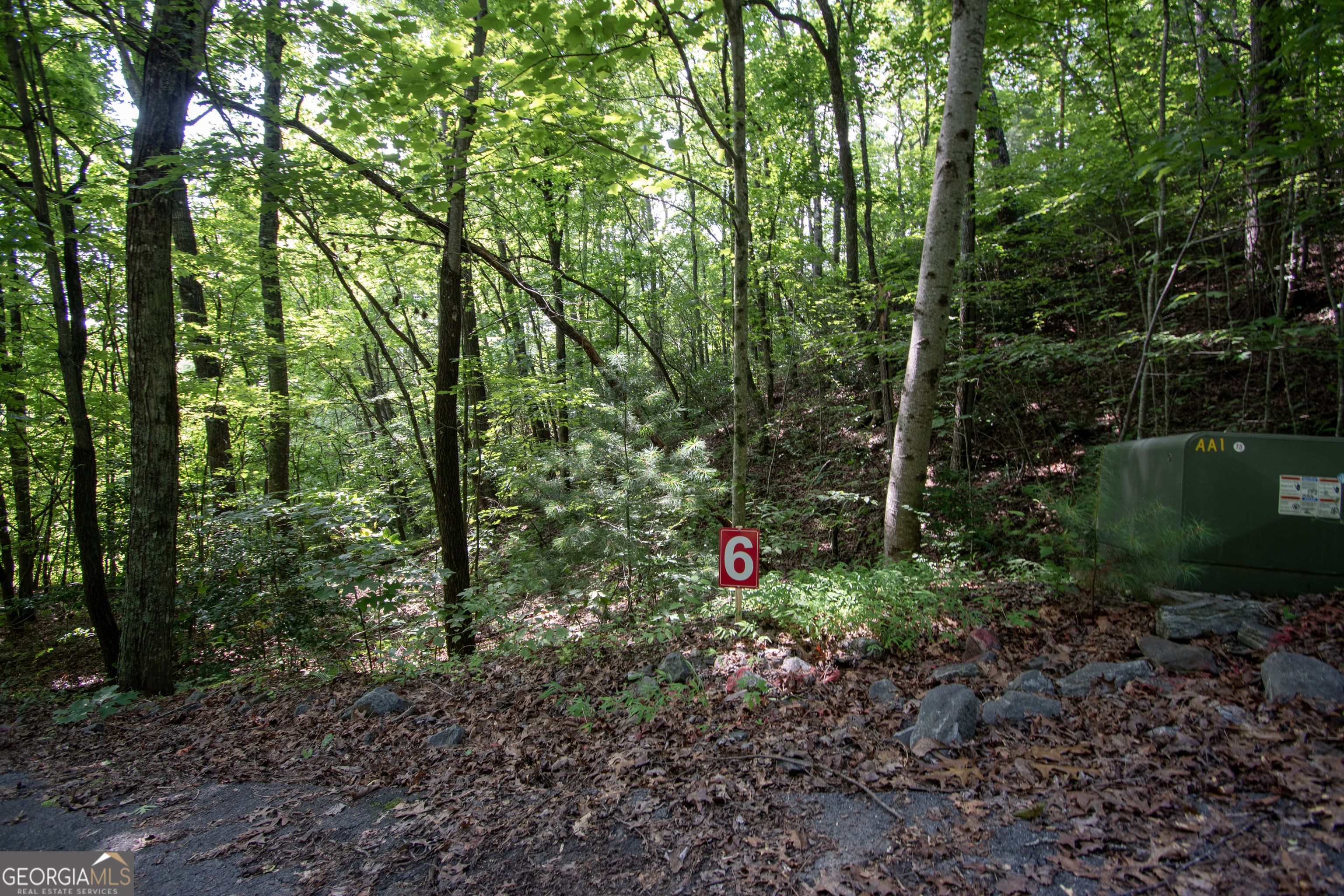 850 Bluff Road Property Photo 4