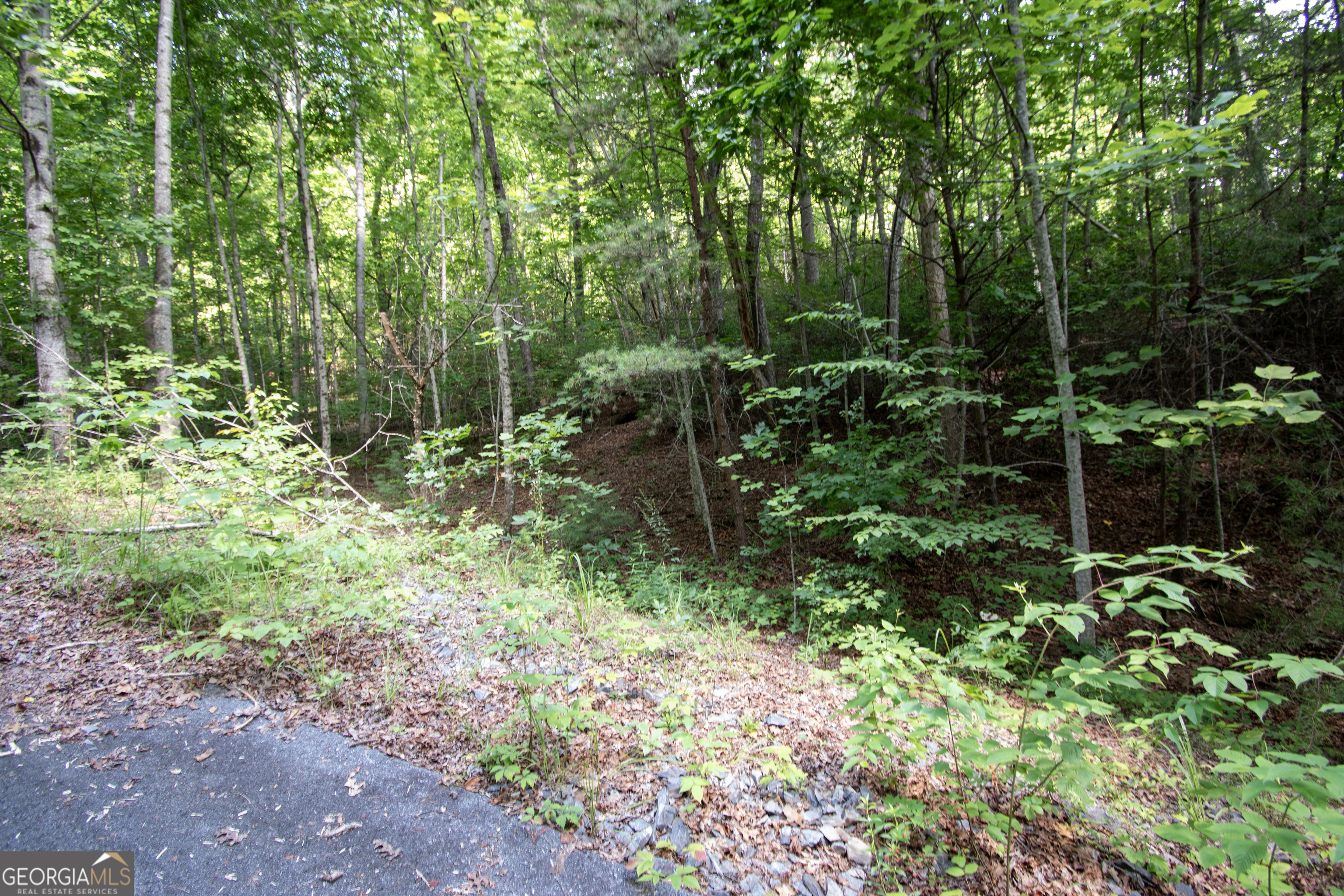 850 Bluff Road Property Photo 5