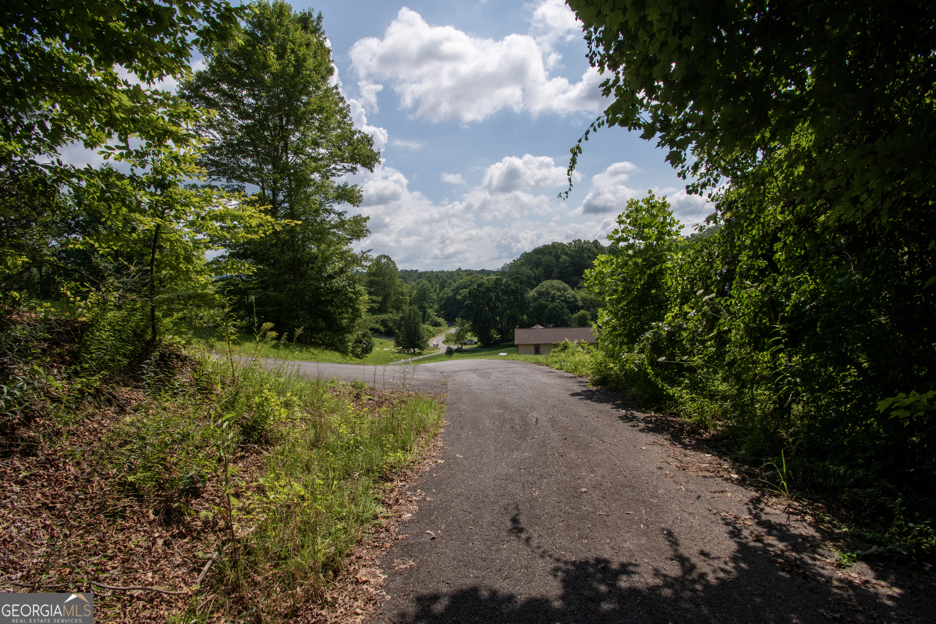 850 Bluff Road Property Photo 6