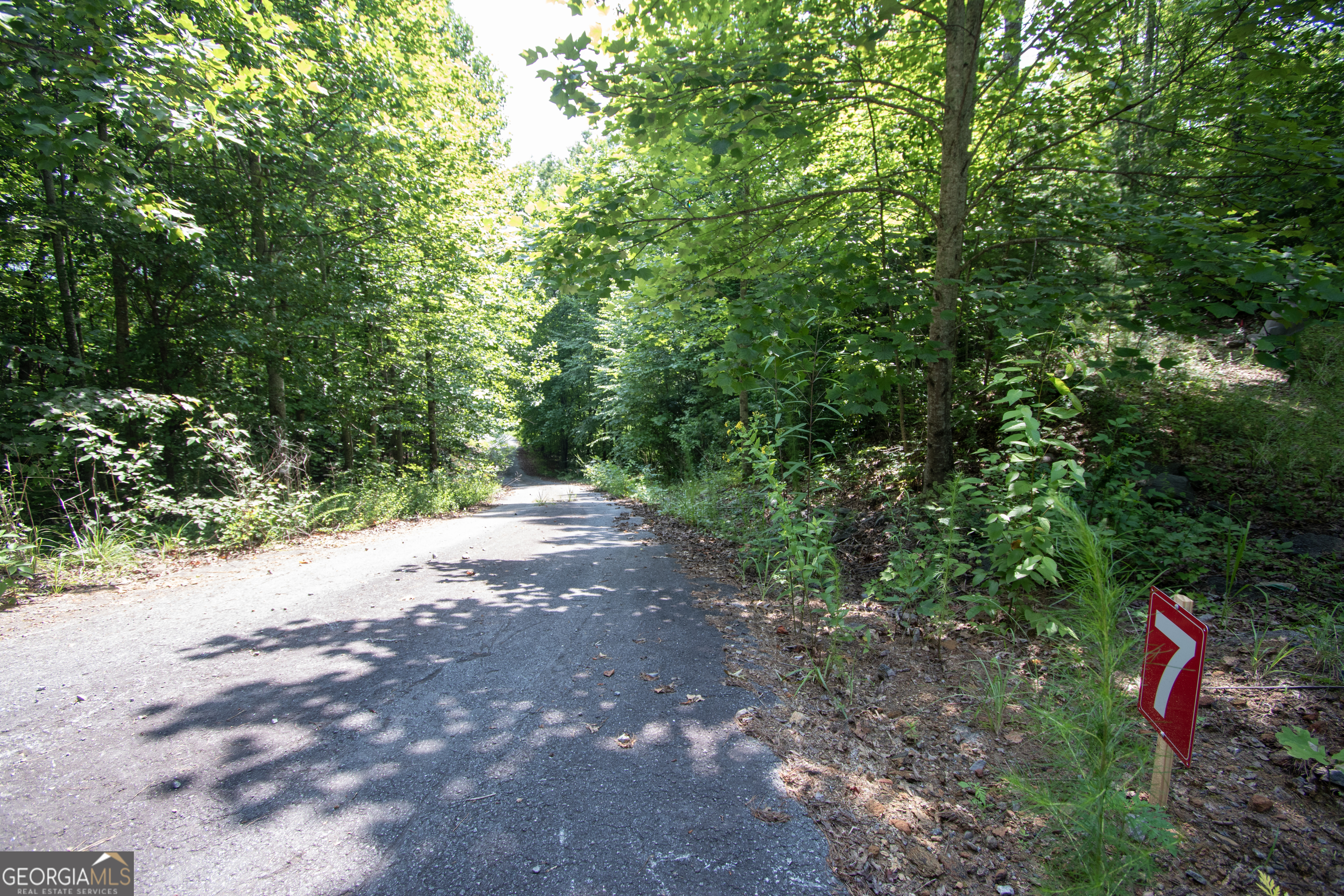 850 Bluff Road Property Photo 7