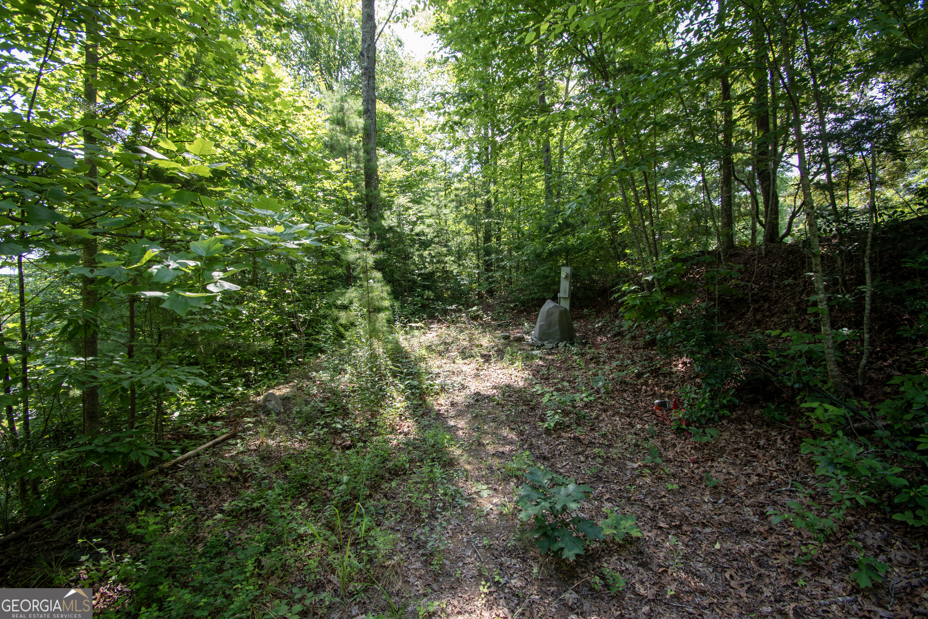 850 Bluff Road Property Photo 8
