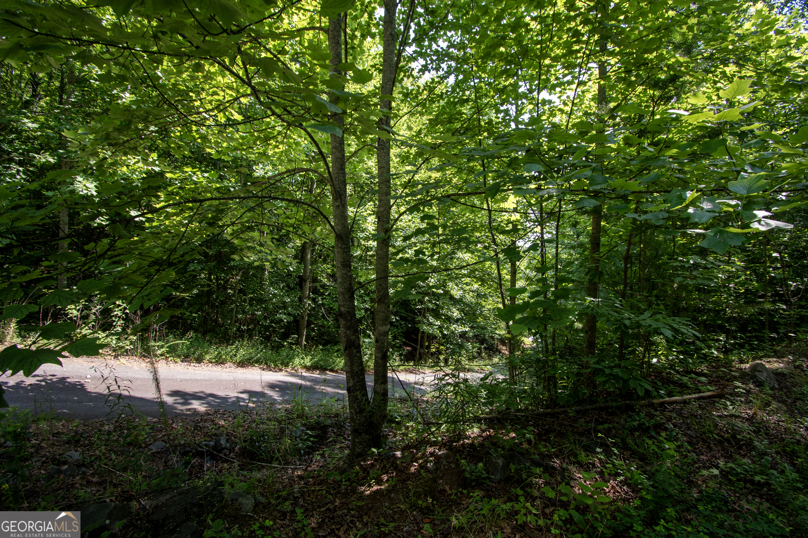 850 Bluff Road Property Photo 9
