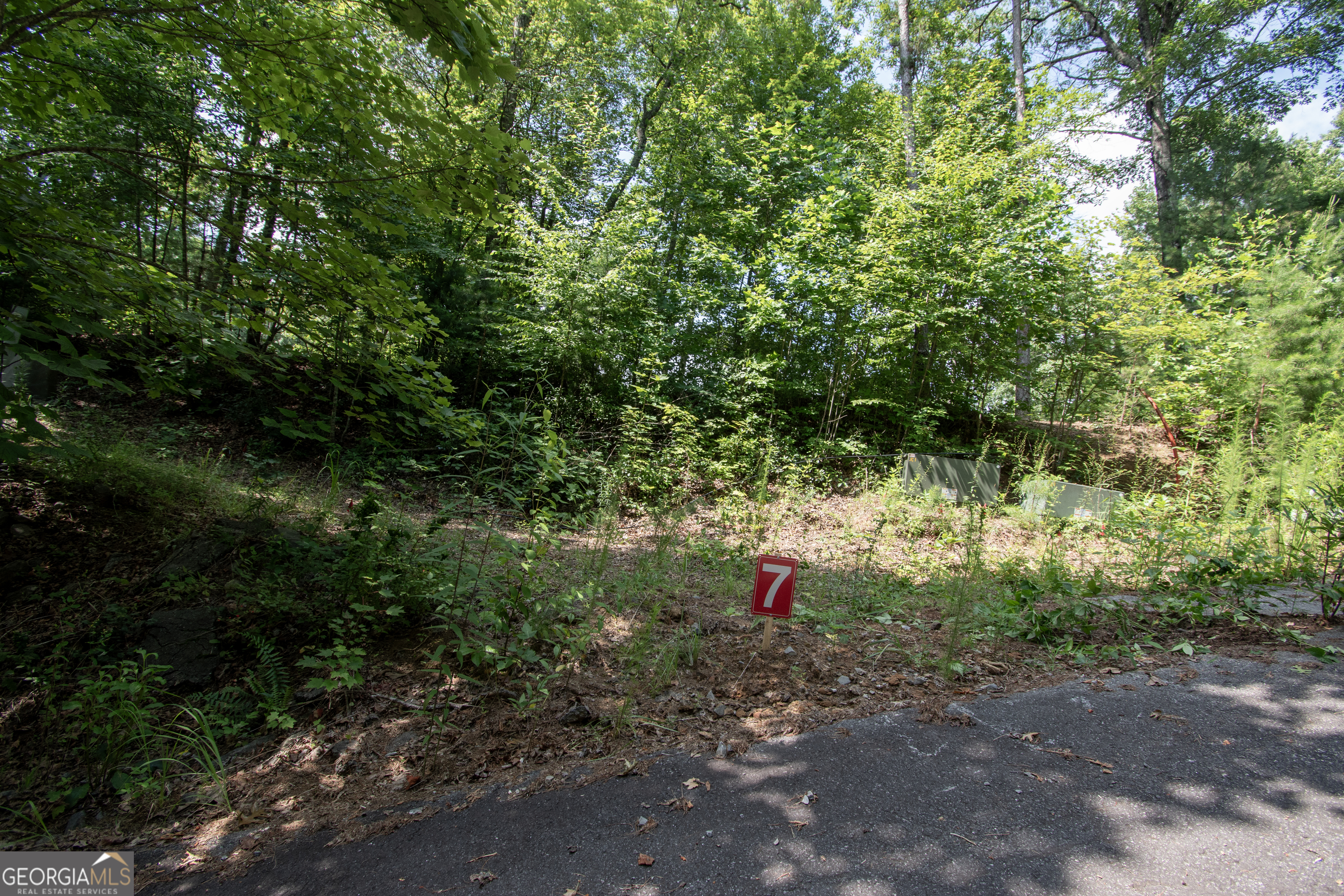 850 Bluff Road Property Photo 10