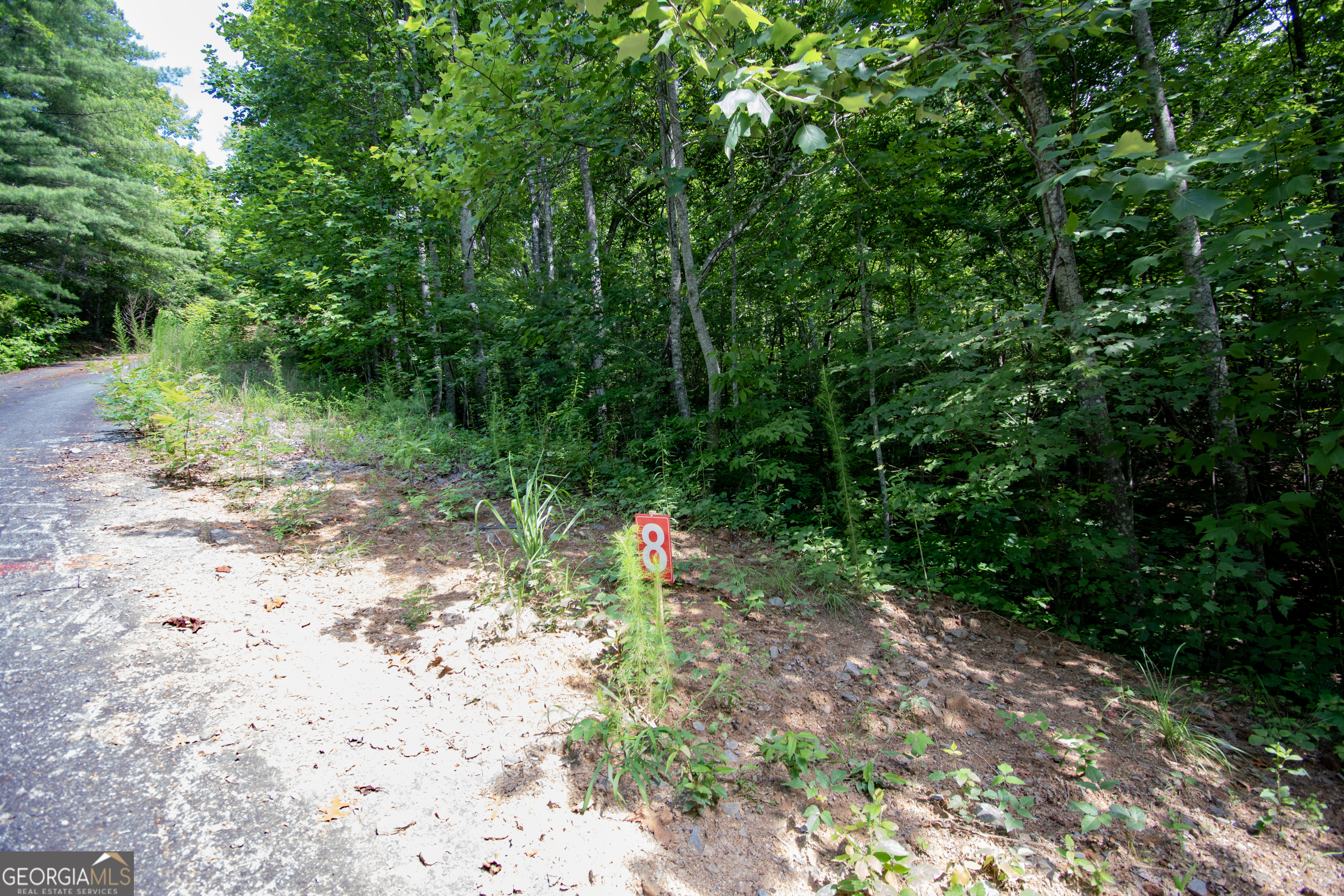 850 Bluff Road Property Photo 11