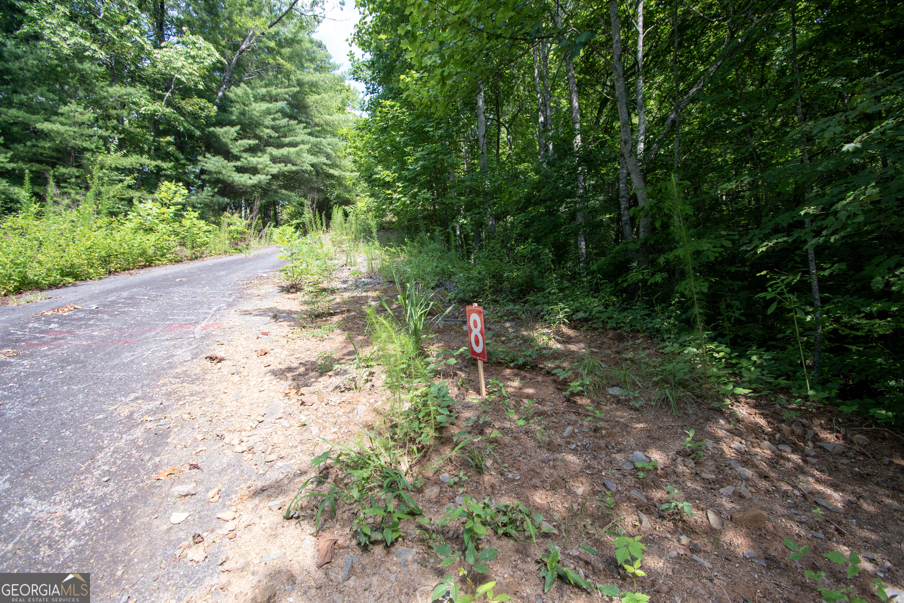 850 Bluff Road Property Photo 12