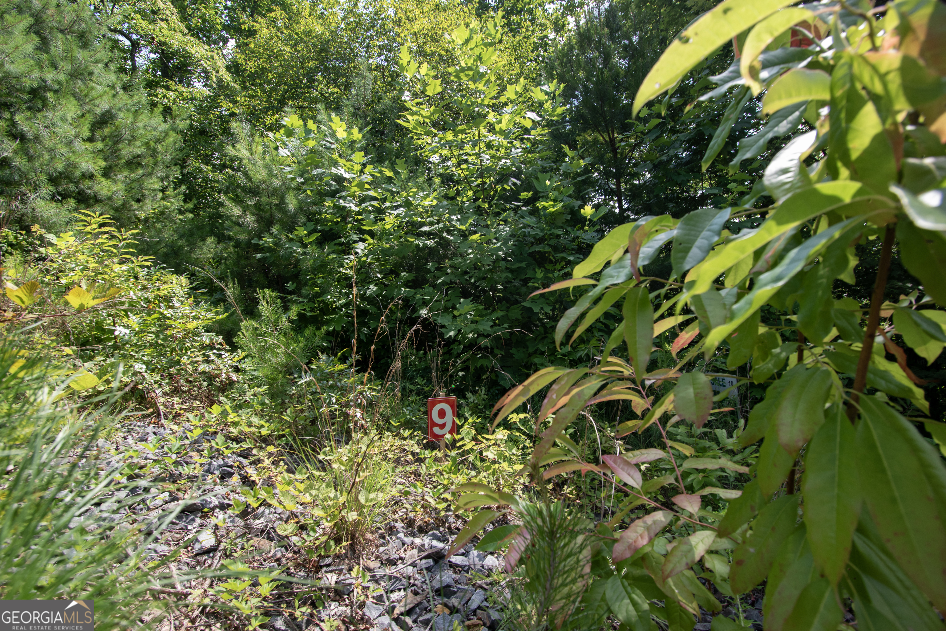 850 Bluff Road Property Photo 13