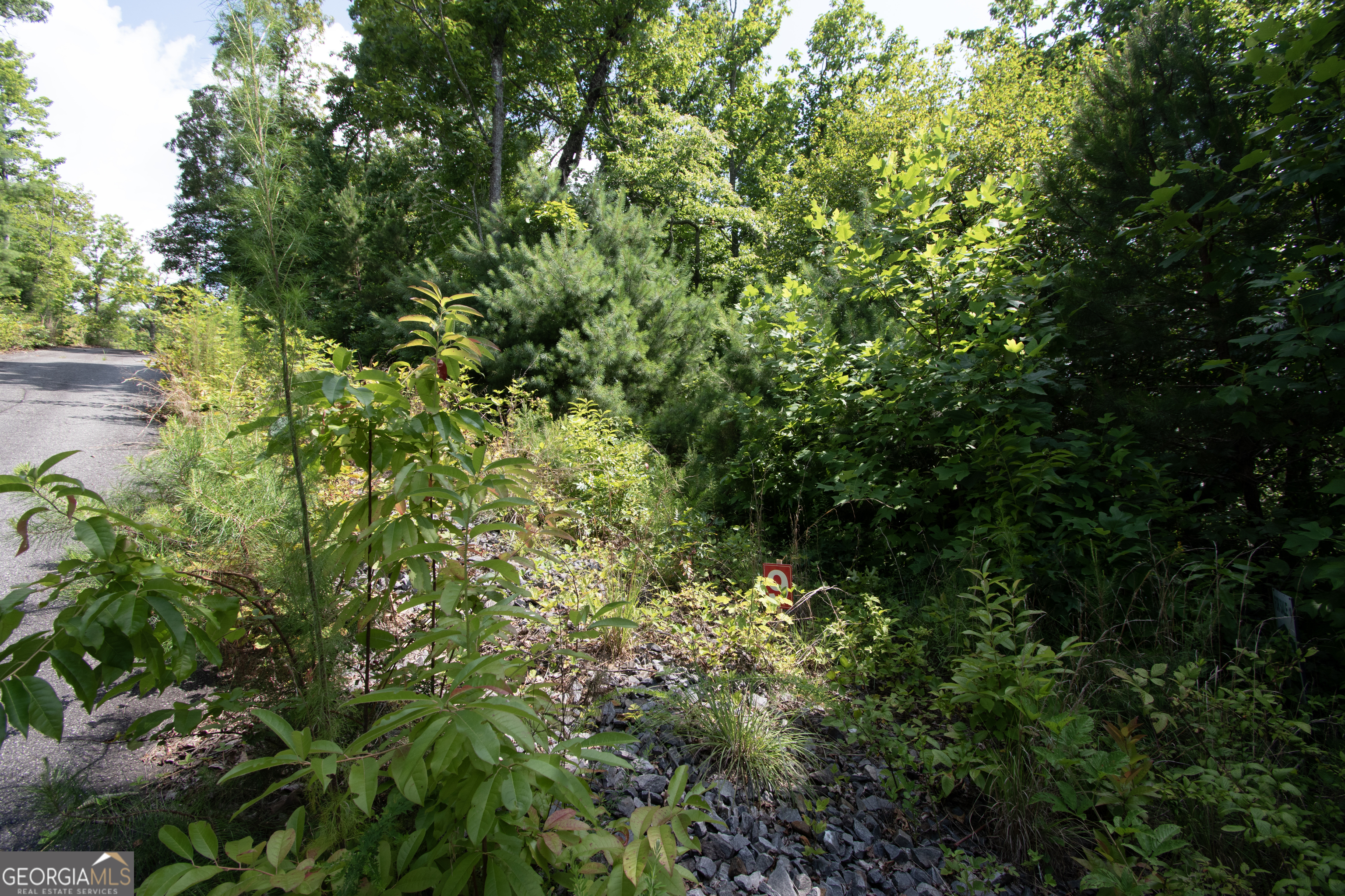 850 Bluff Road Property Photo 14