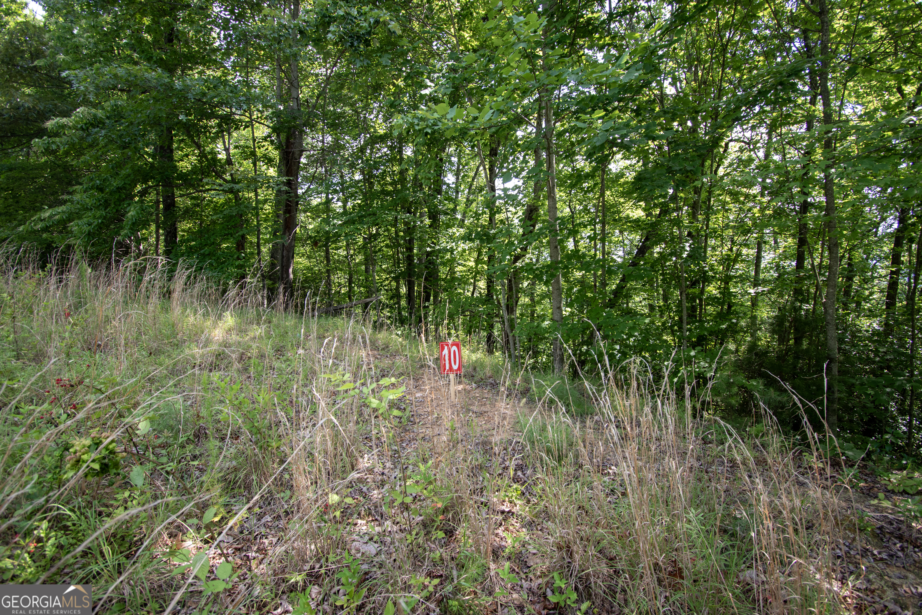 850 Bluff Road Property Photo 15