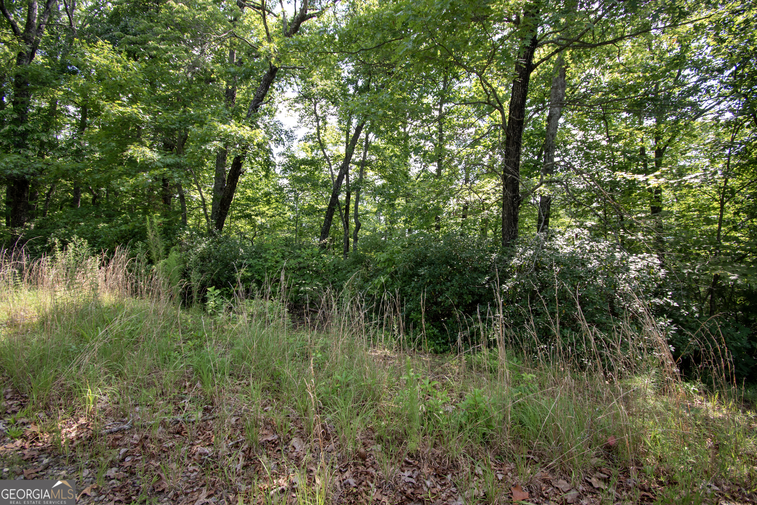 850 Bluff Road Property Photo 19