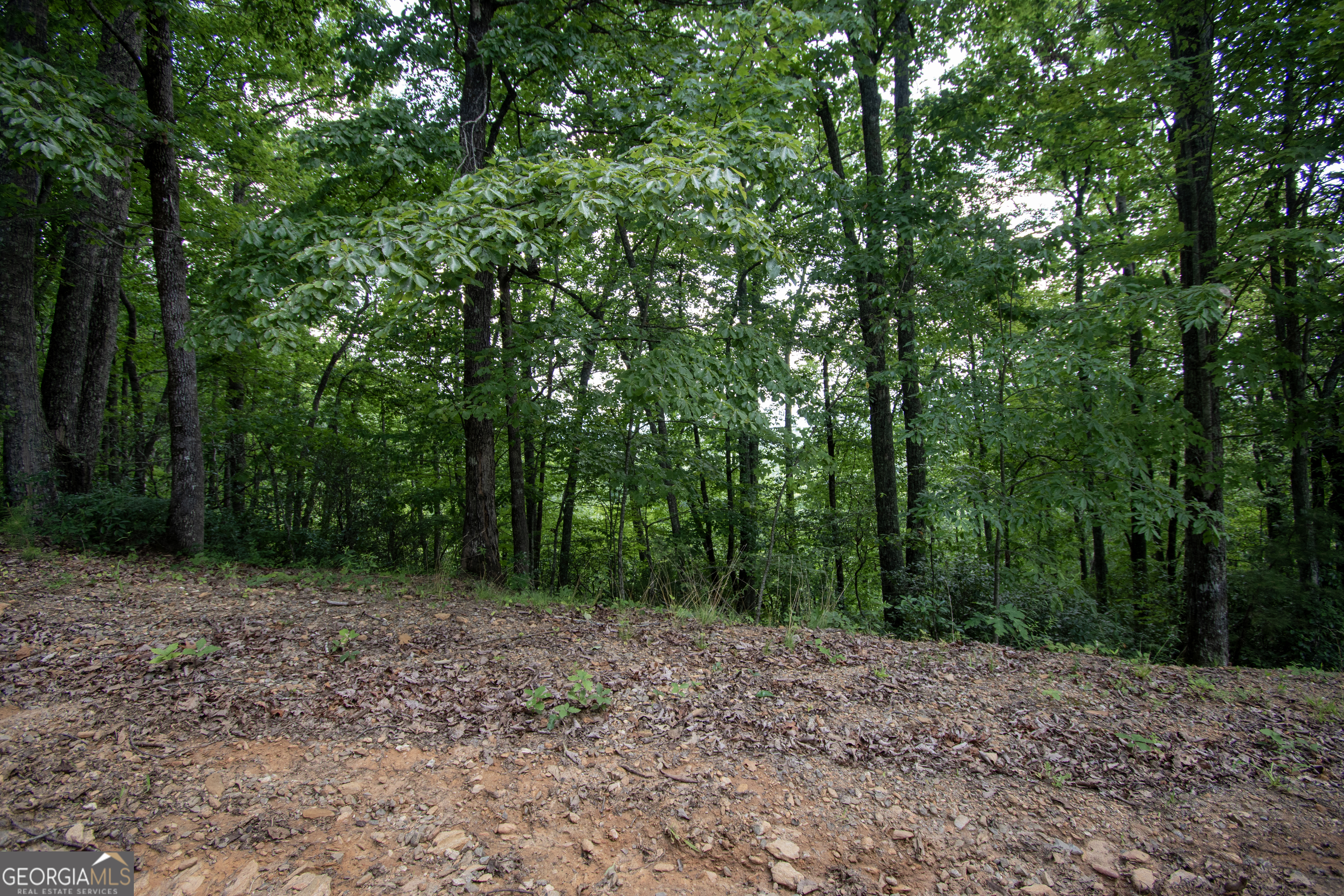 850 Bluff Road Property Photo 21
