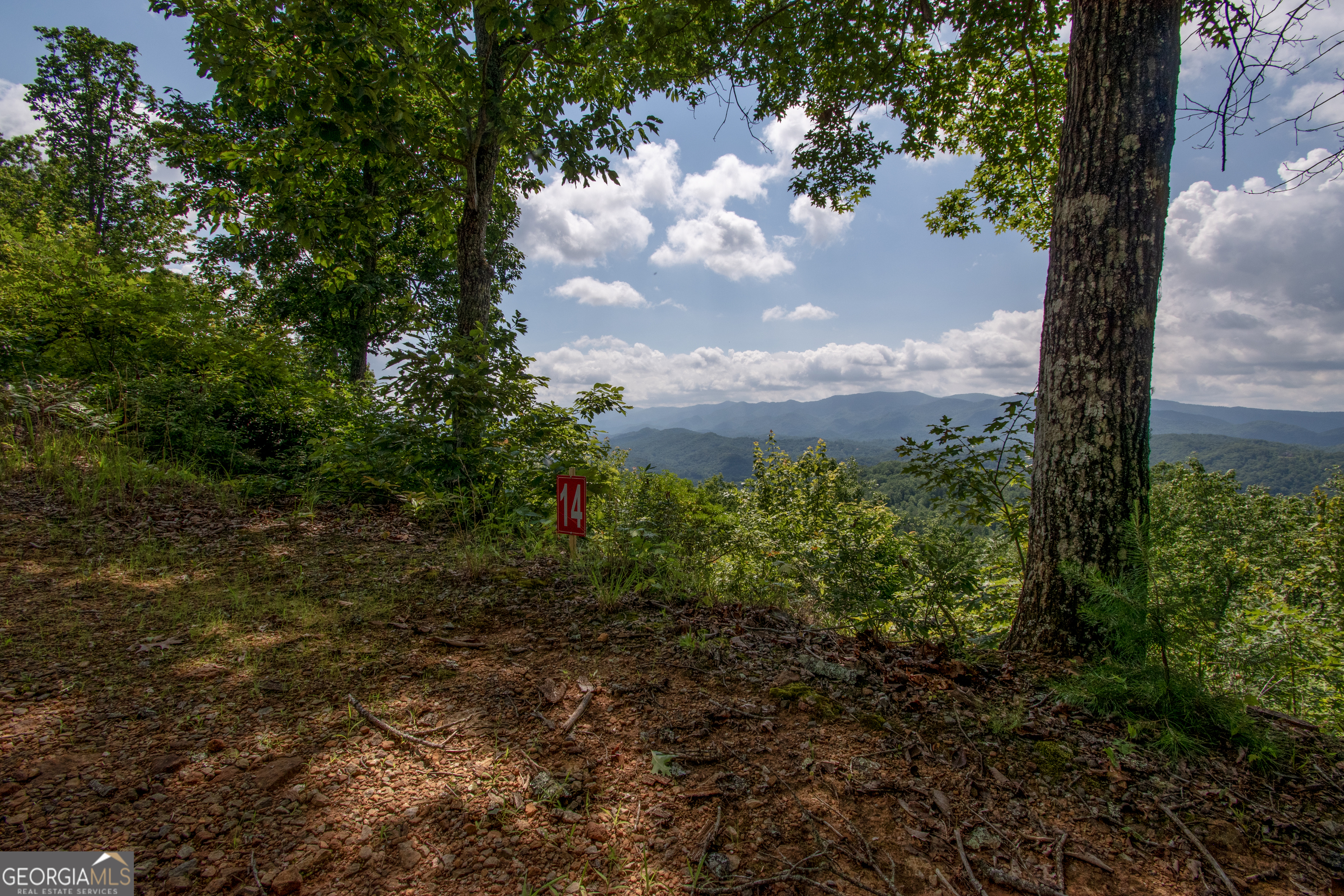 850 Bluff Road Property Photo 22