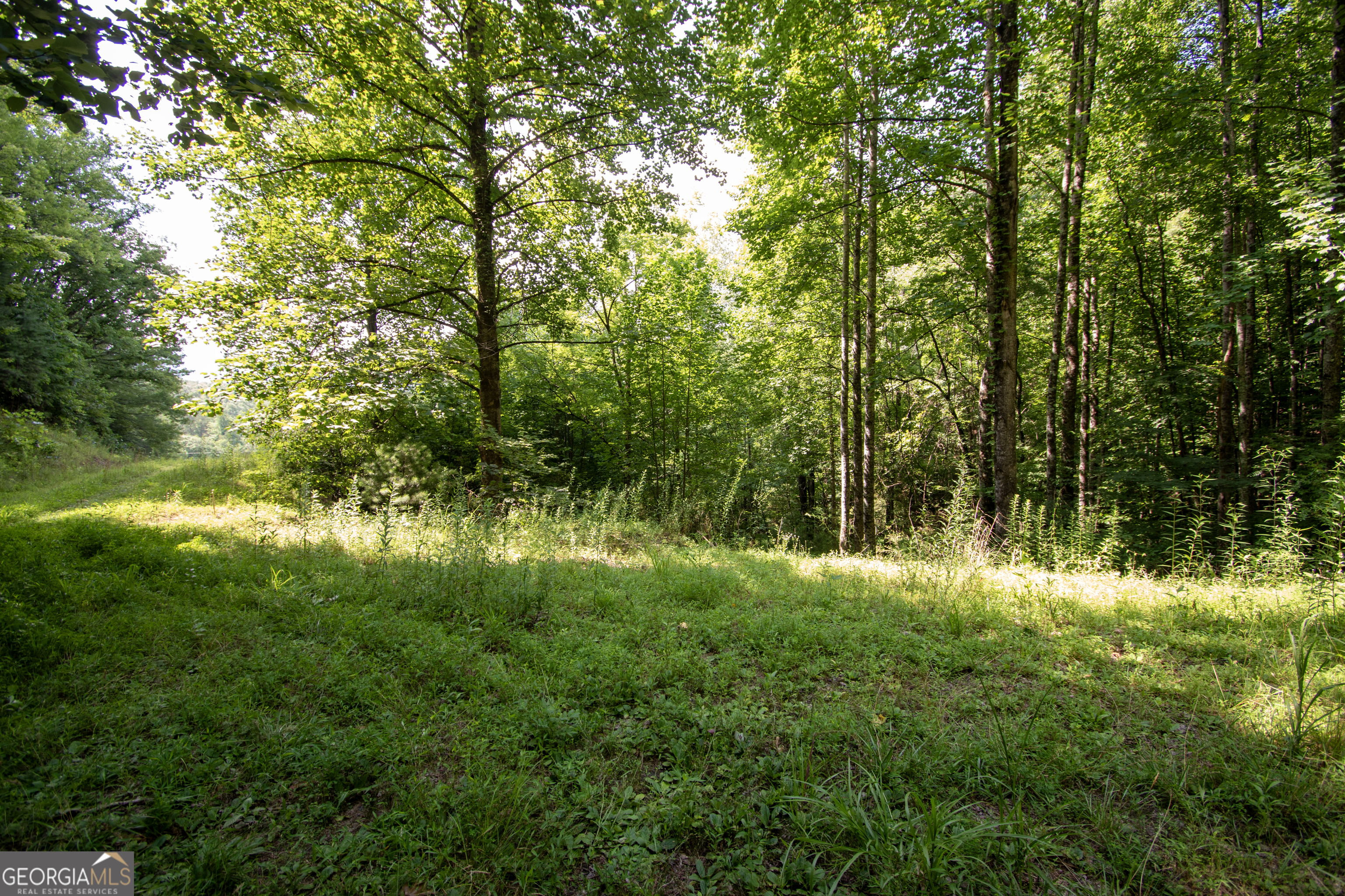 850 Bluff Road Property Photo 25