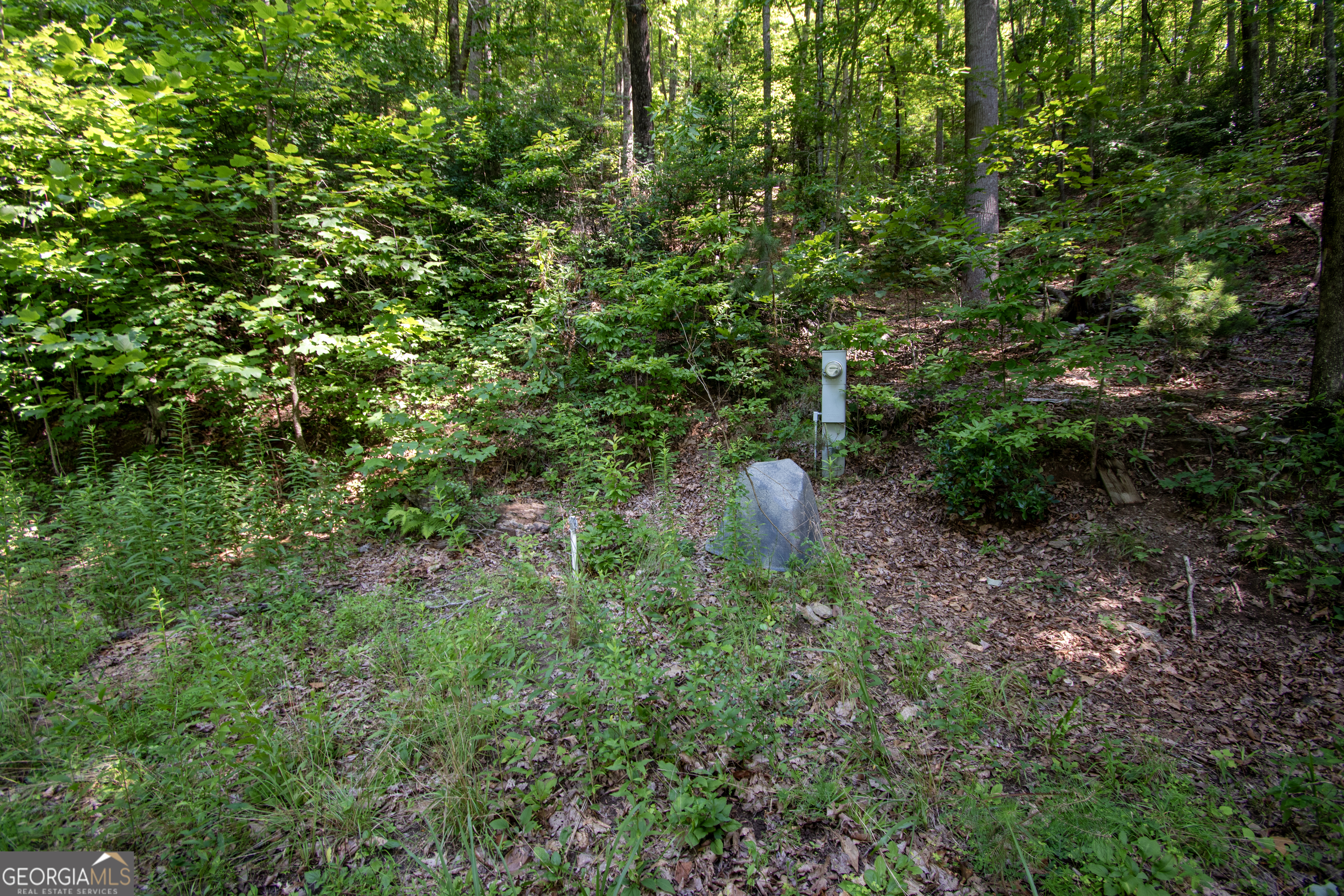 850 Bluff Road Property Photo 26