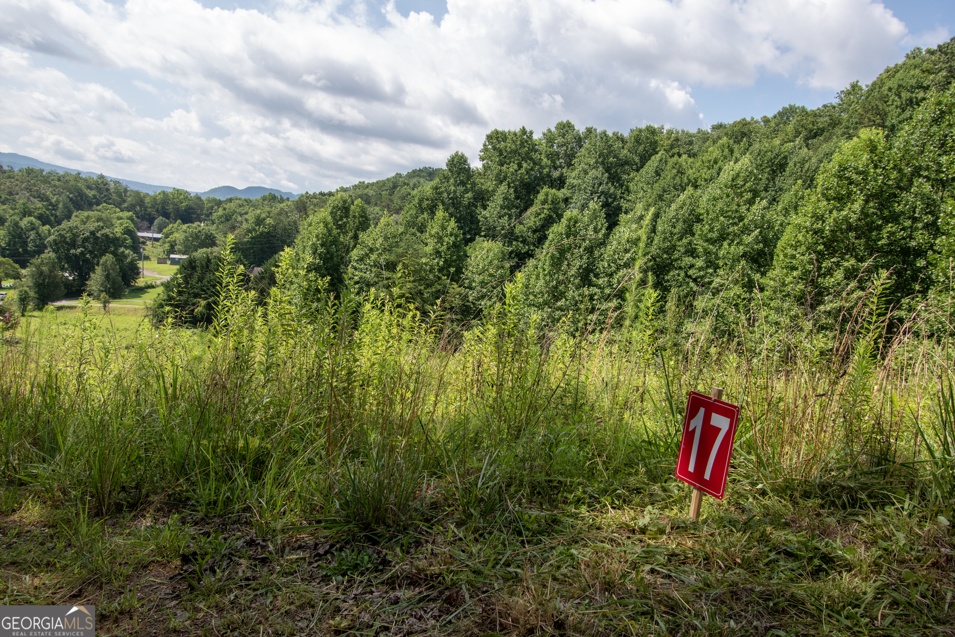 850 Bluff Road Property Photo 27