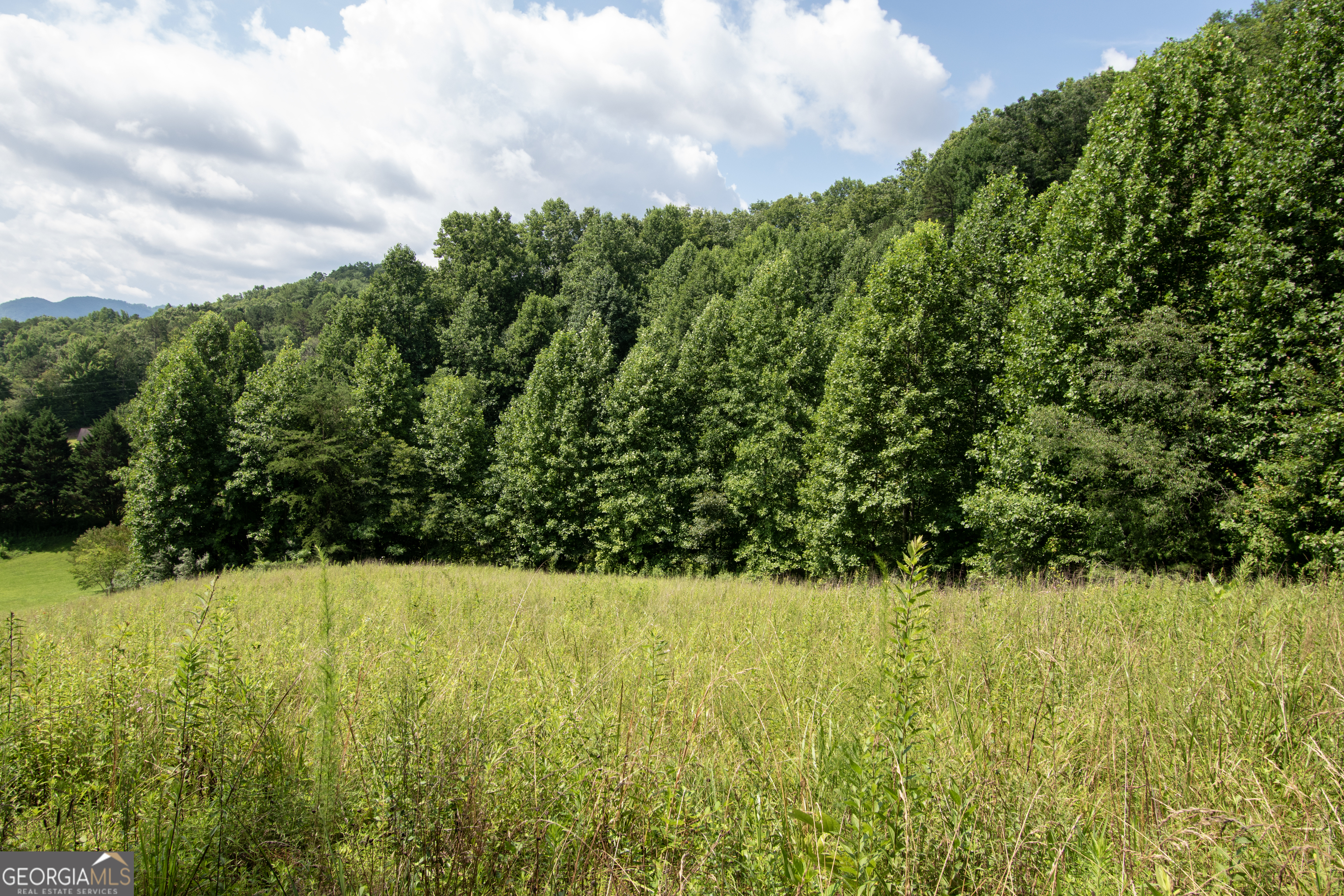 850 Bluff Road Property Photo 29