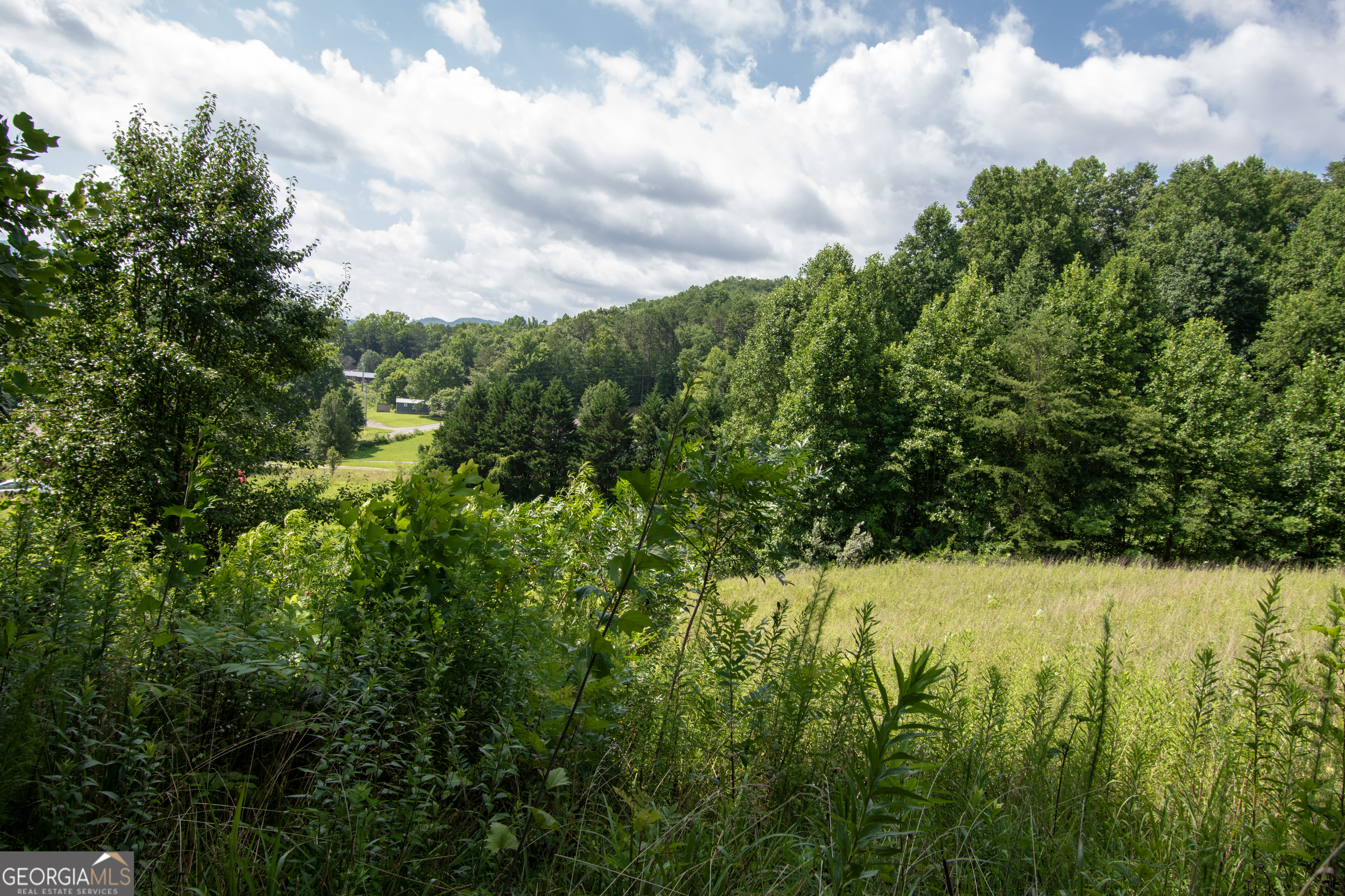 850 Bluff Road Property Photo 31