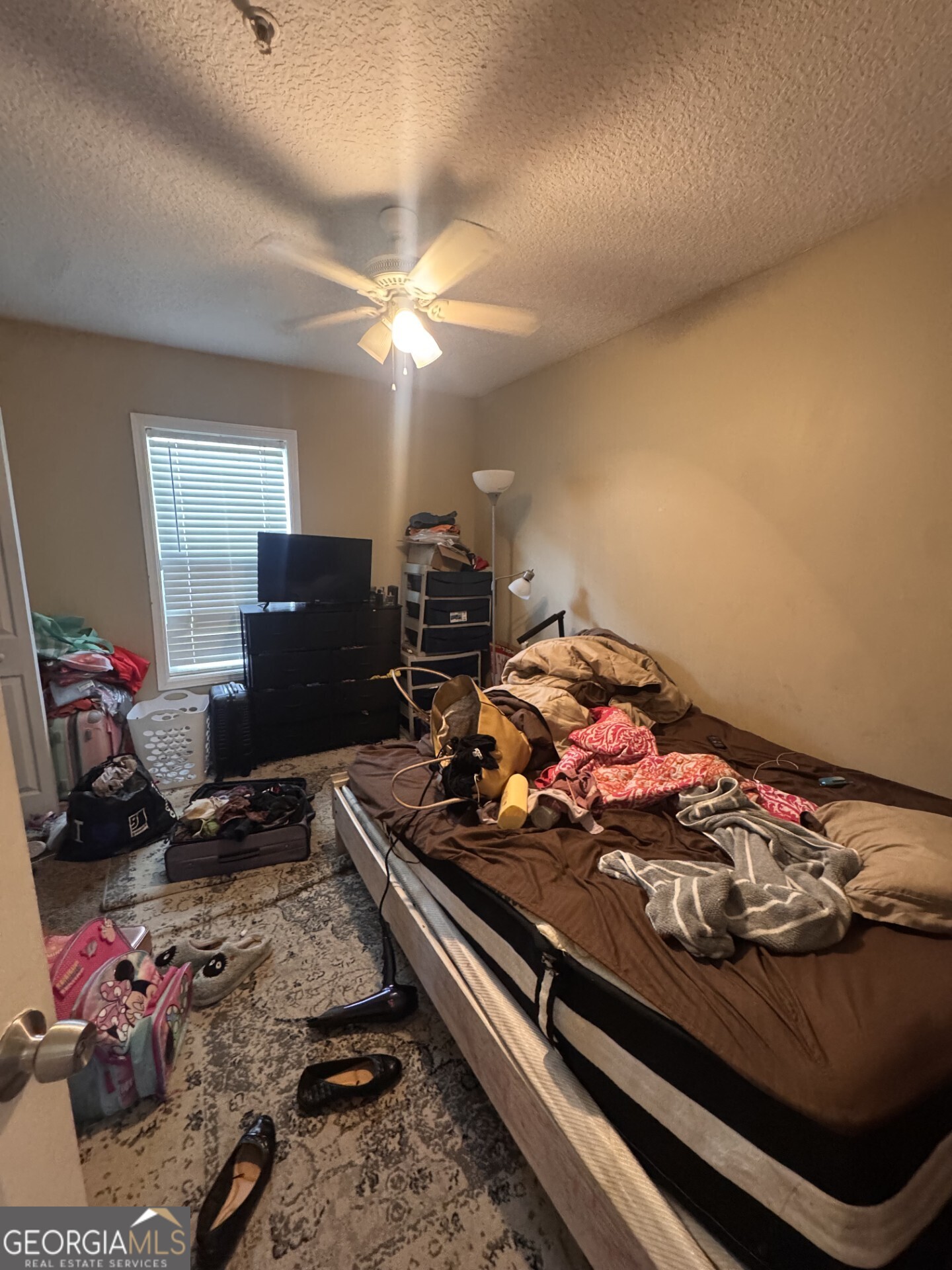 2723 Altama Avenue Property Photo 9
