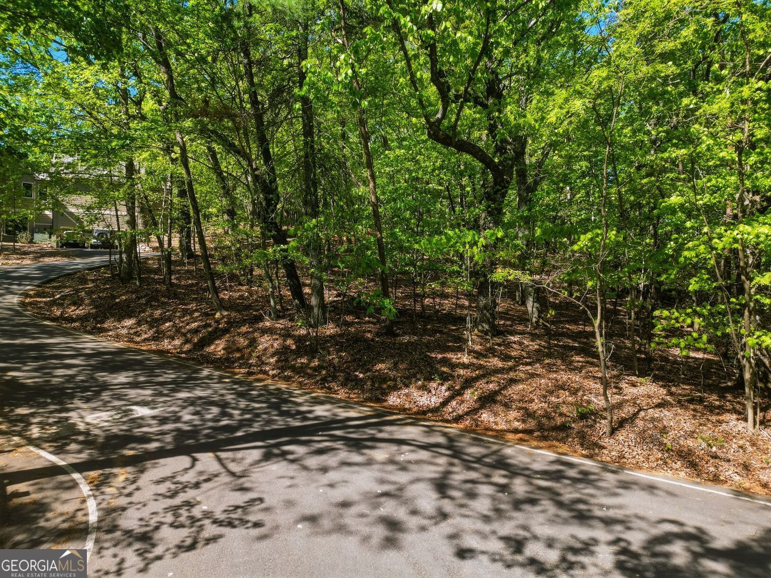 1095 Mcelroy Mountain Drive Property Photo 3