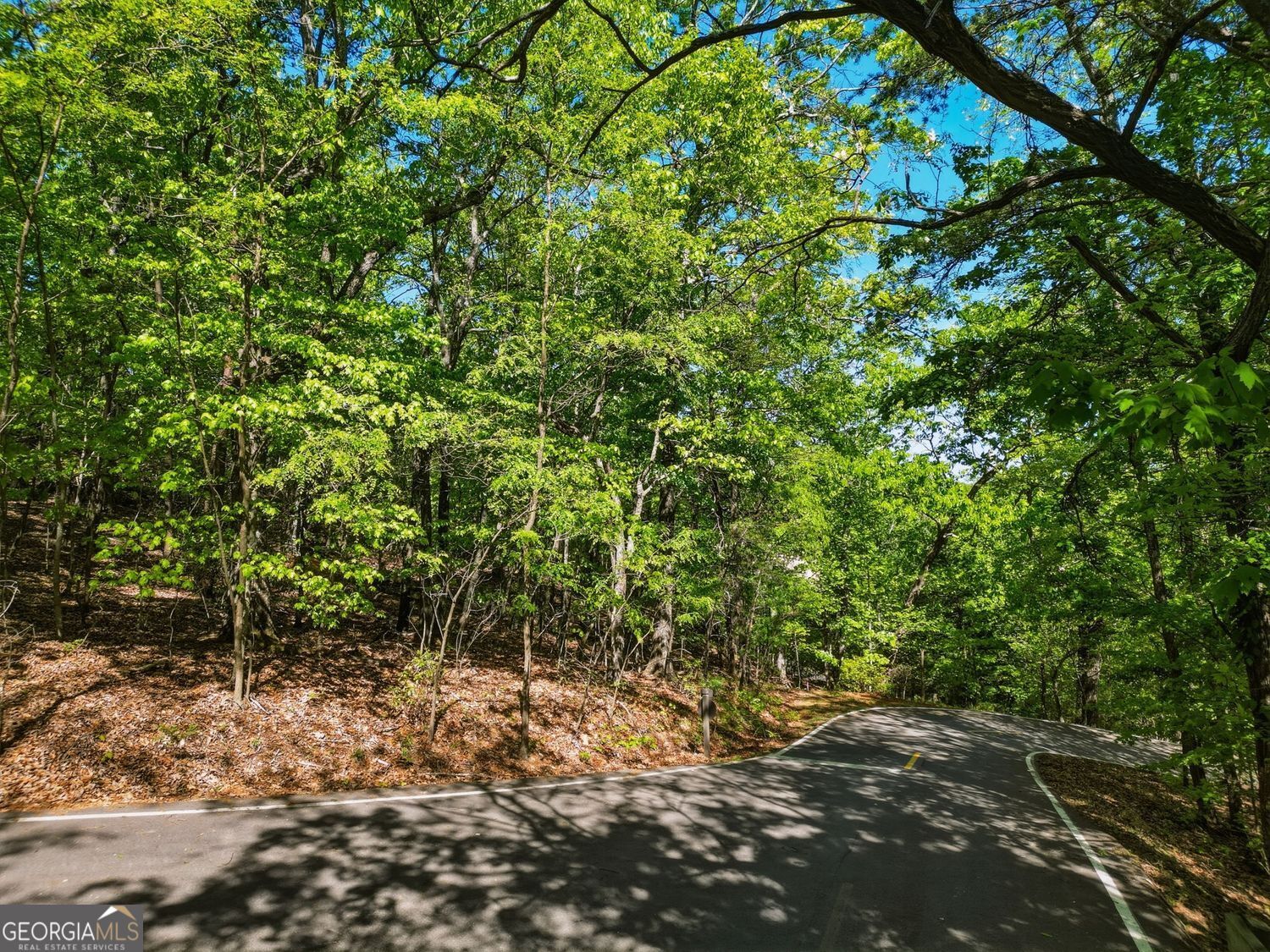 1095 Mcelroy Mountain Drive Property Photo 4