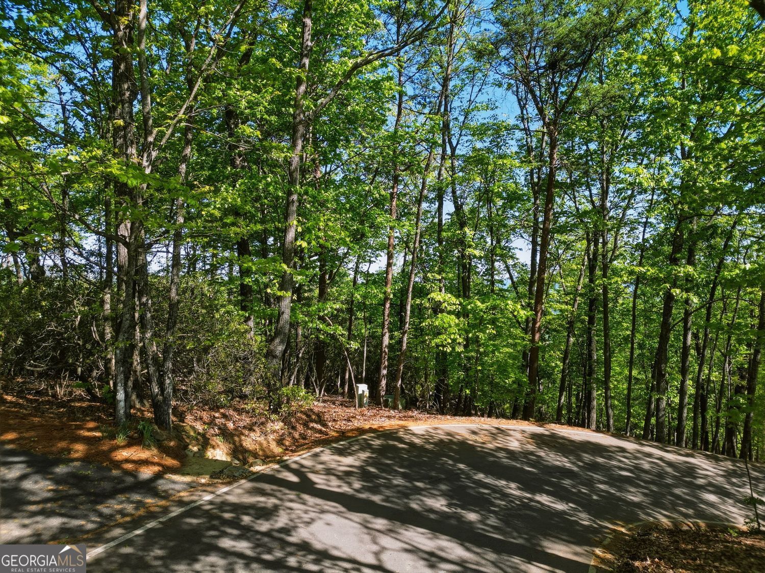 1095 Mcelroy Mountain Drive Property Photo 5
