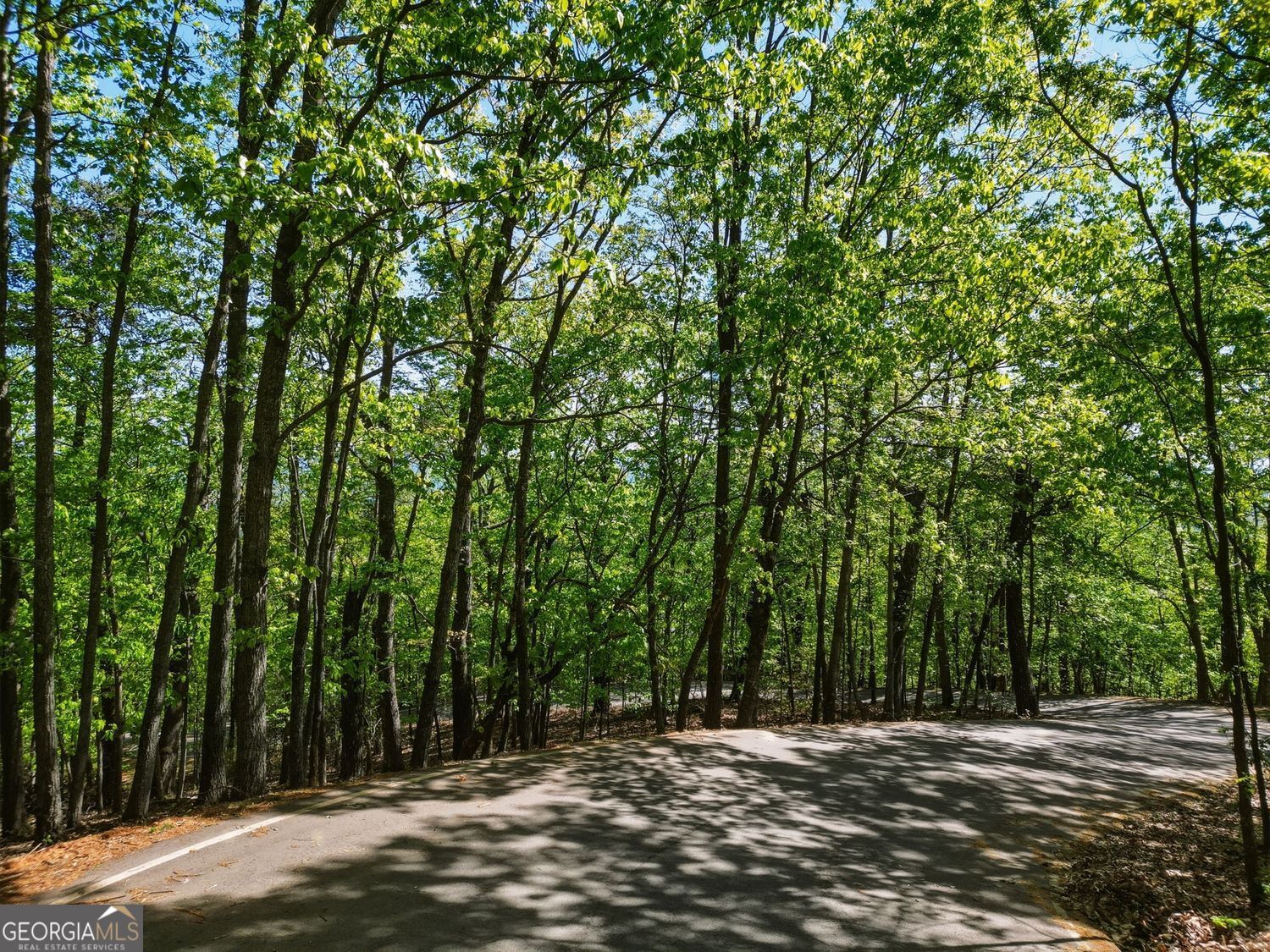 1095 Mcelroy Mountain Drive Property Photo 6