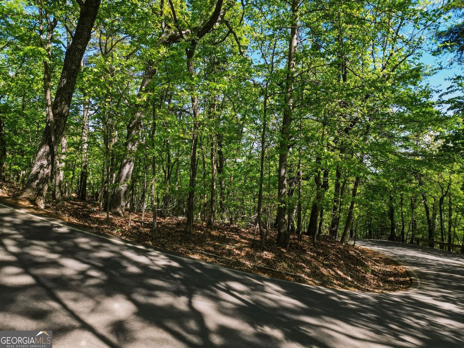 1095 Mcelroy Mountain Drive Property Photo 7