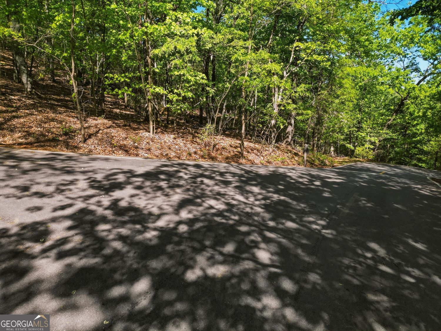 1095 Mcelroy Mountain Drive Property Photo 8