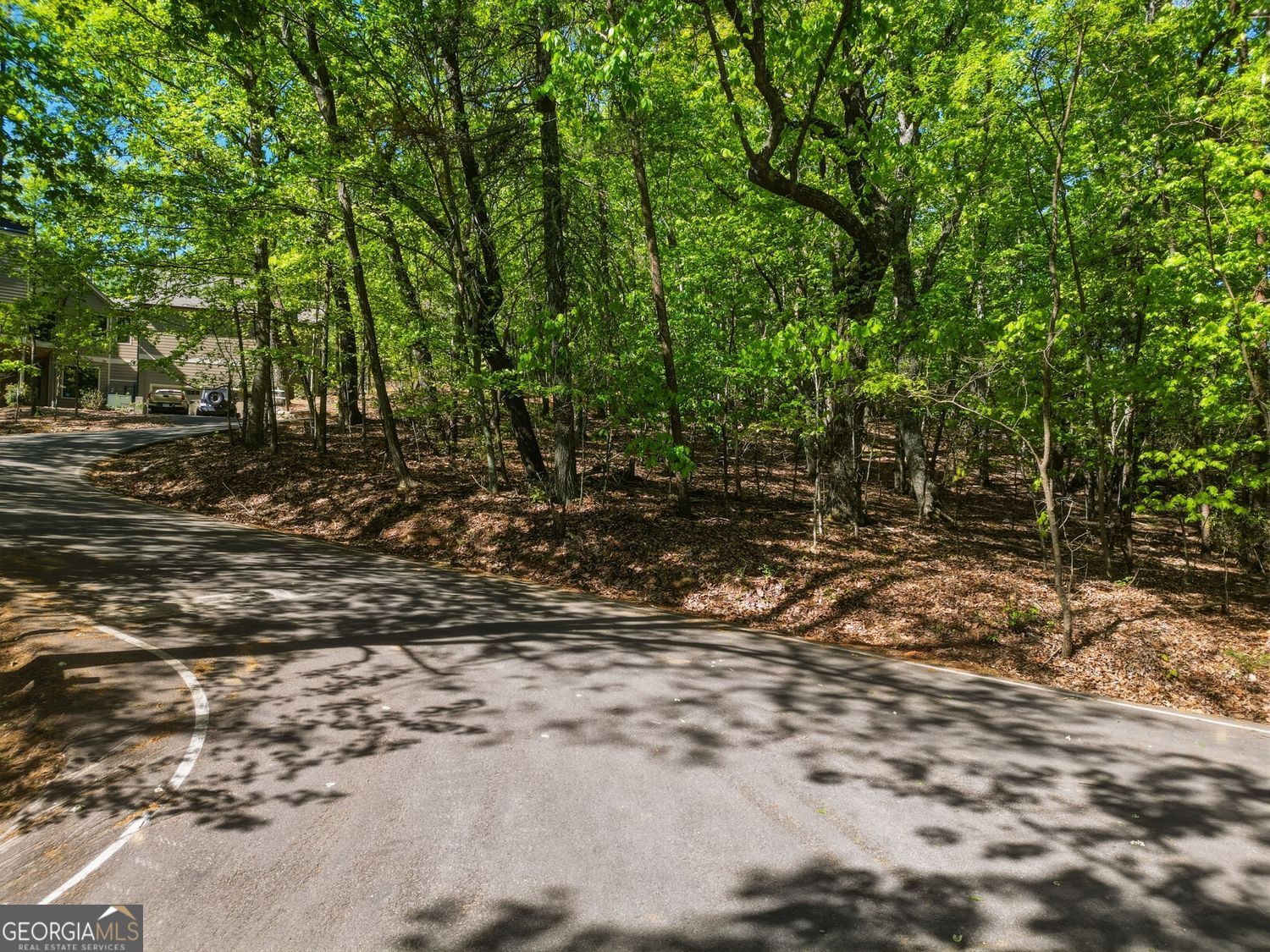 1095 Mcelroy Mountain Drive Property Photo 9
