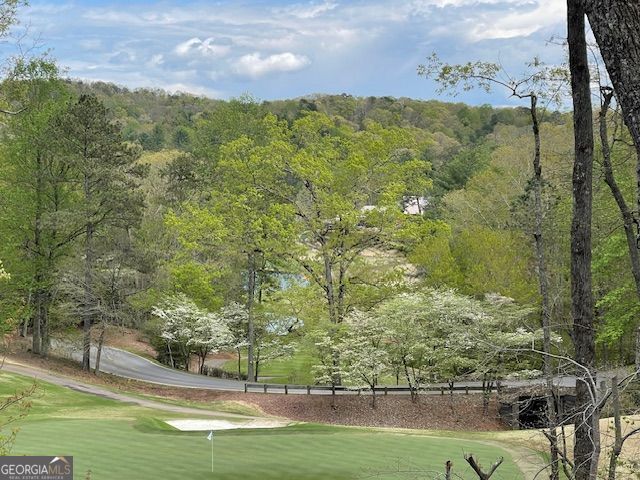 1095 Mcelroy Mountain Drive Property Photo 31
