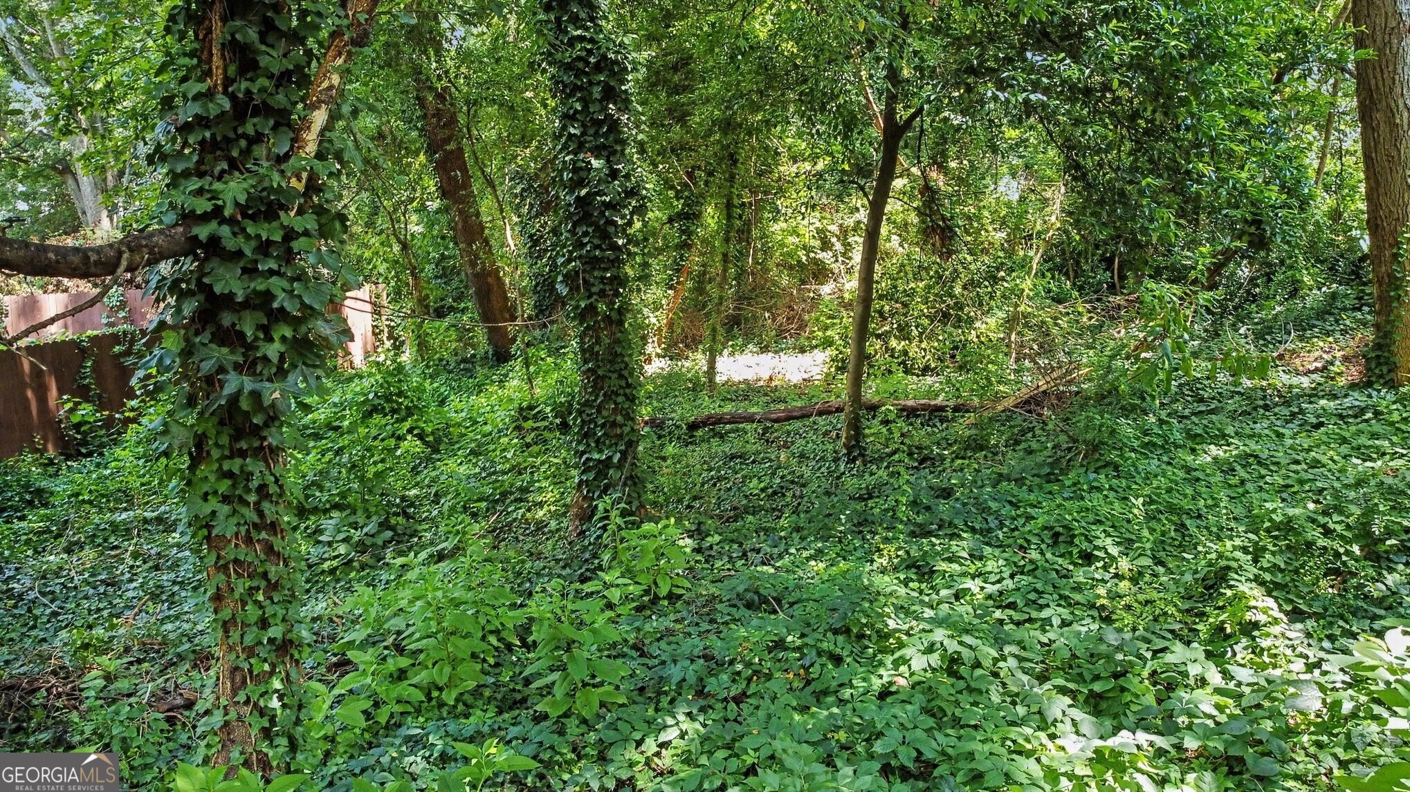 2242 Ridgedale Road Ne Property Photo 3