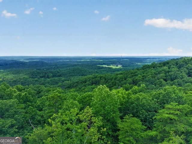 726 Railey Ridge Ne Property Photo 71