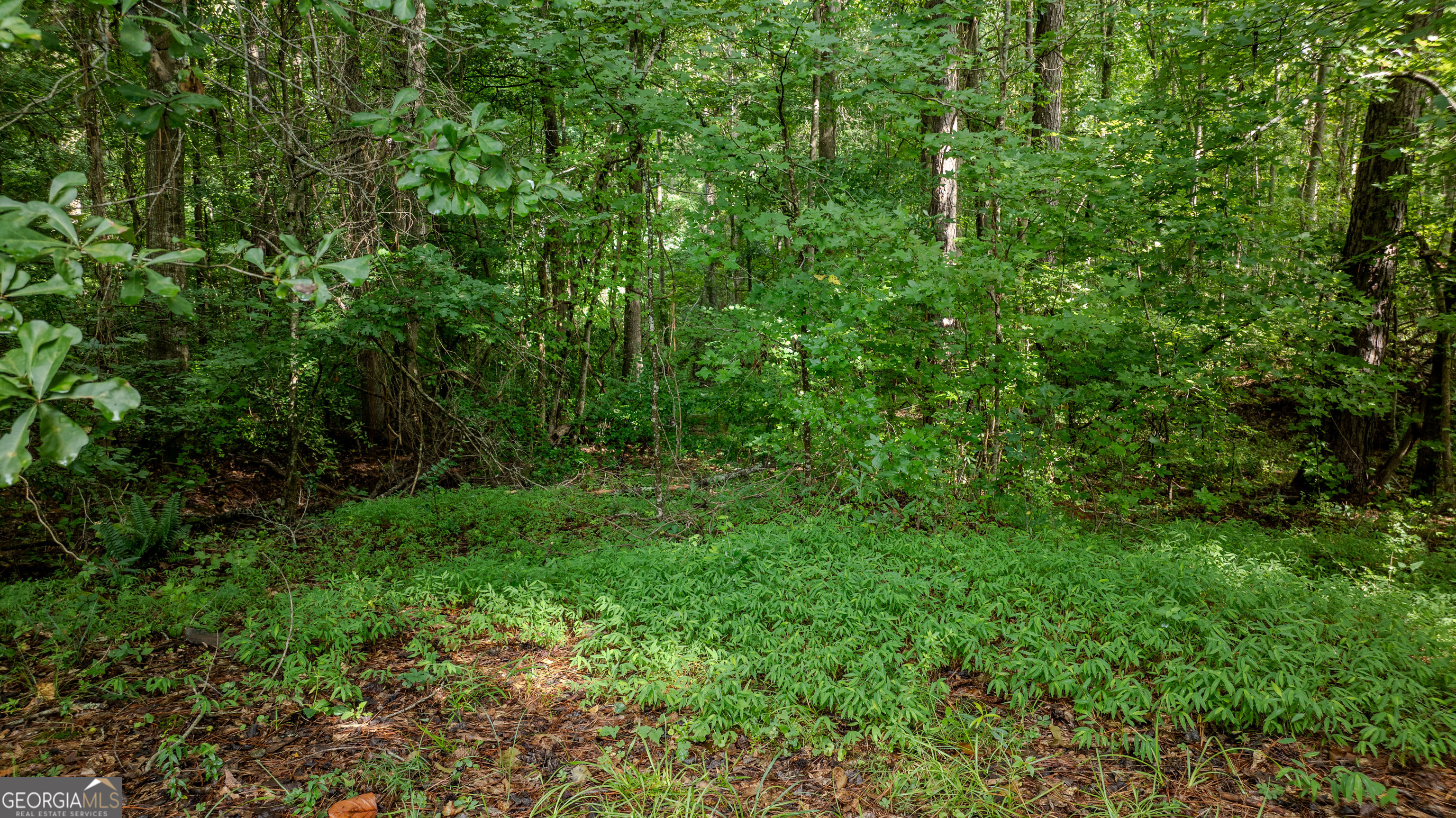 0 Brimer Road Property Photo 15