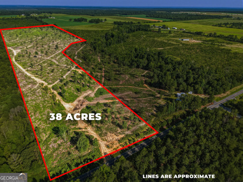 38 Acres N Ga Highway 240 N Connector Property Photo 1