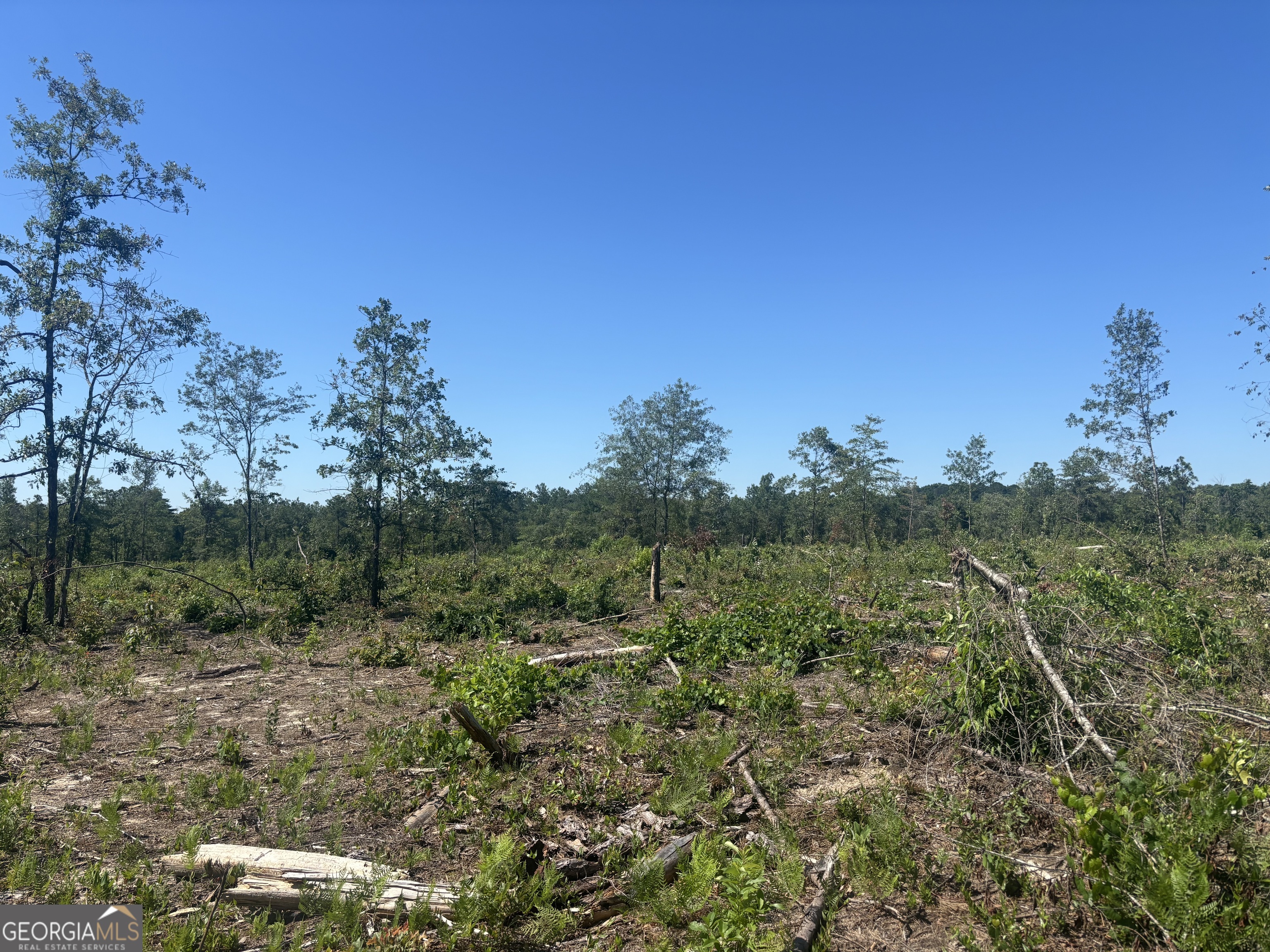 38 Acres N Ga Highway 240 N Connector Property Photo 2