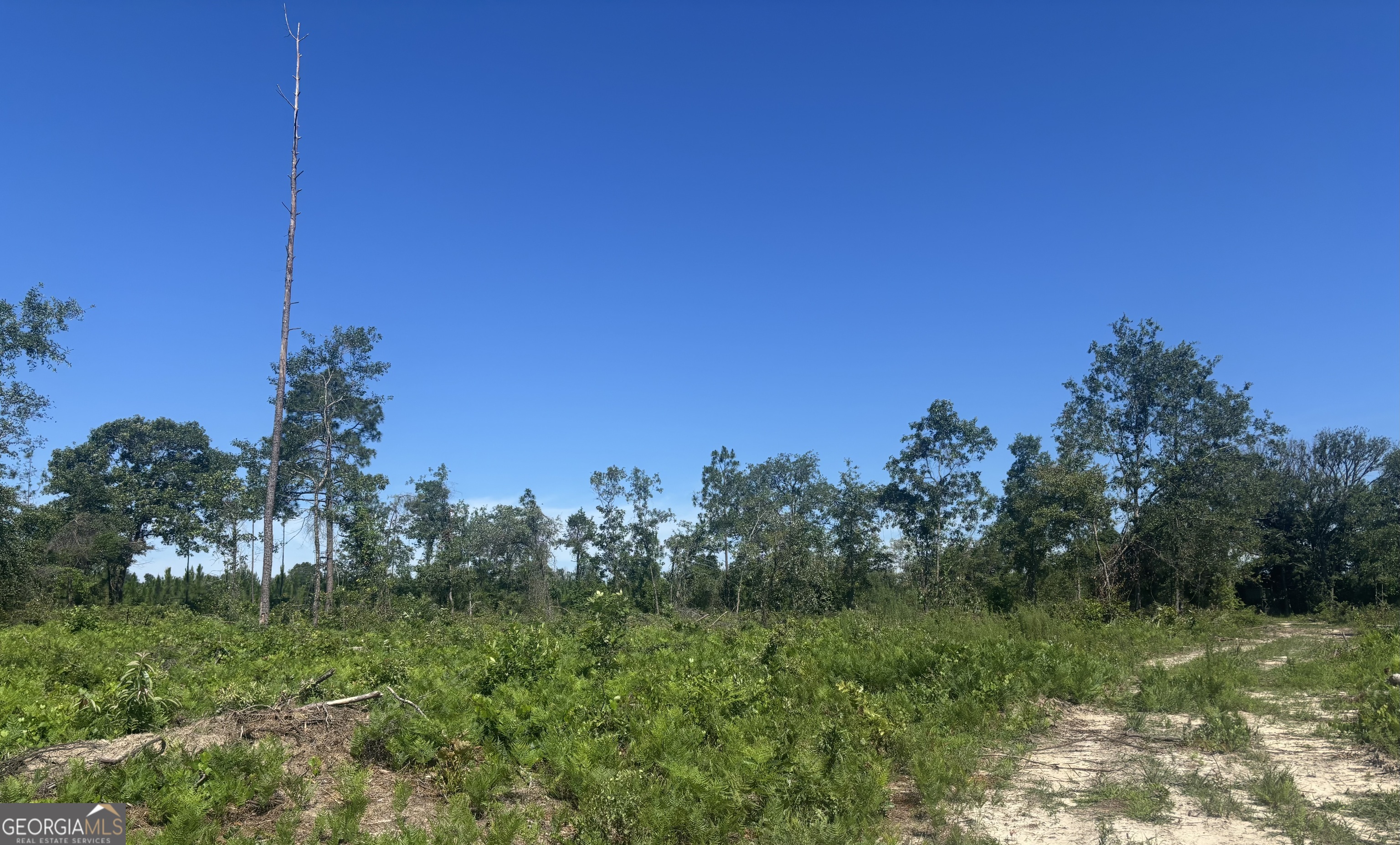 38 Acres N Ga Highway 240 N Connector Property Photo 3