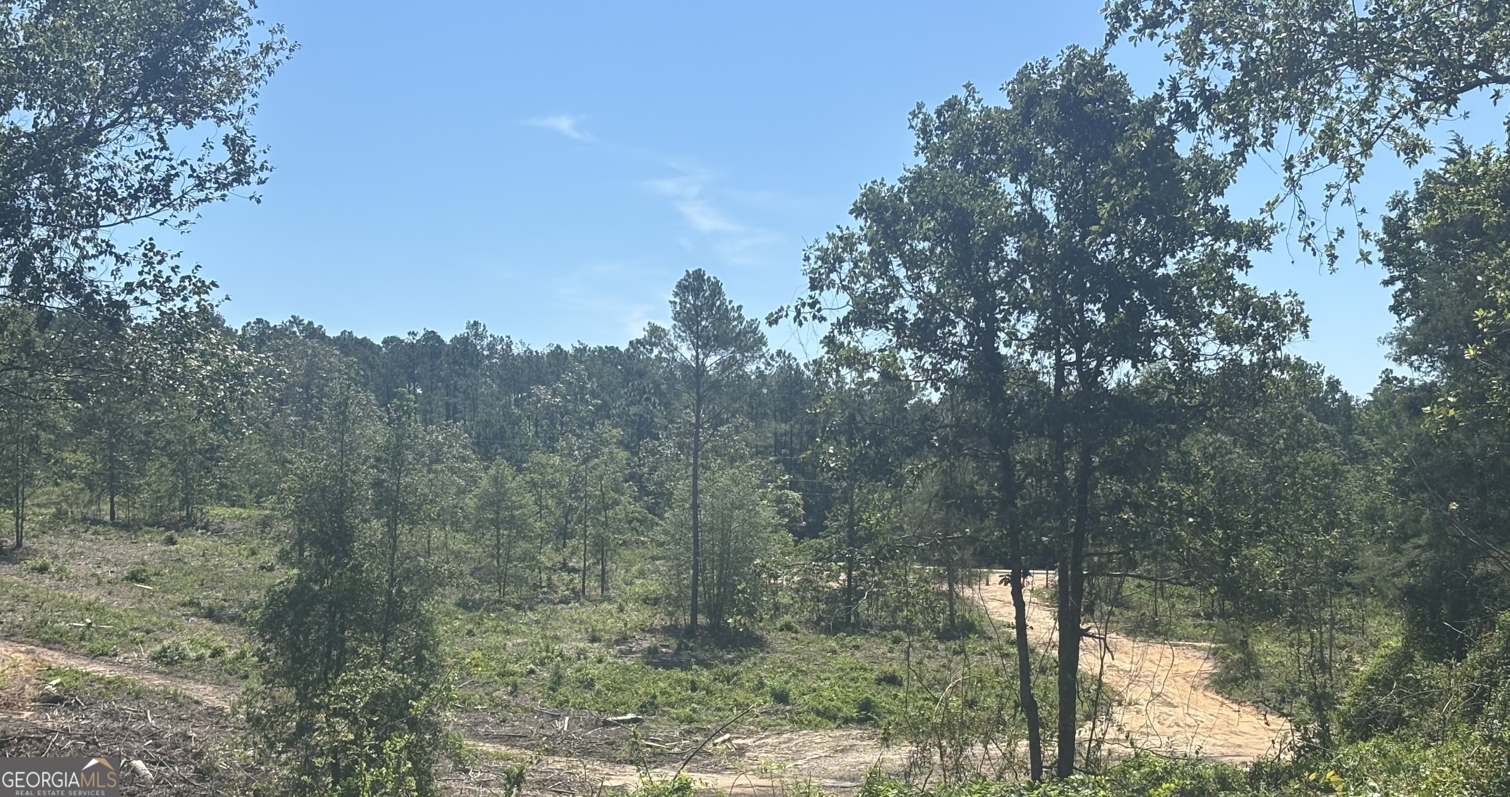 38 Acres N Ga Highway 240 N Connector Property Photo 4