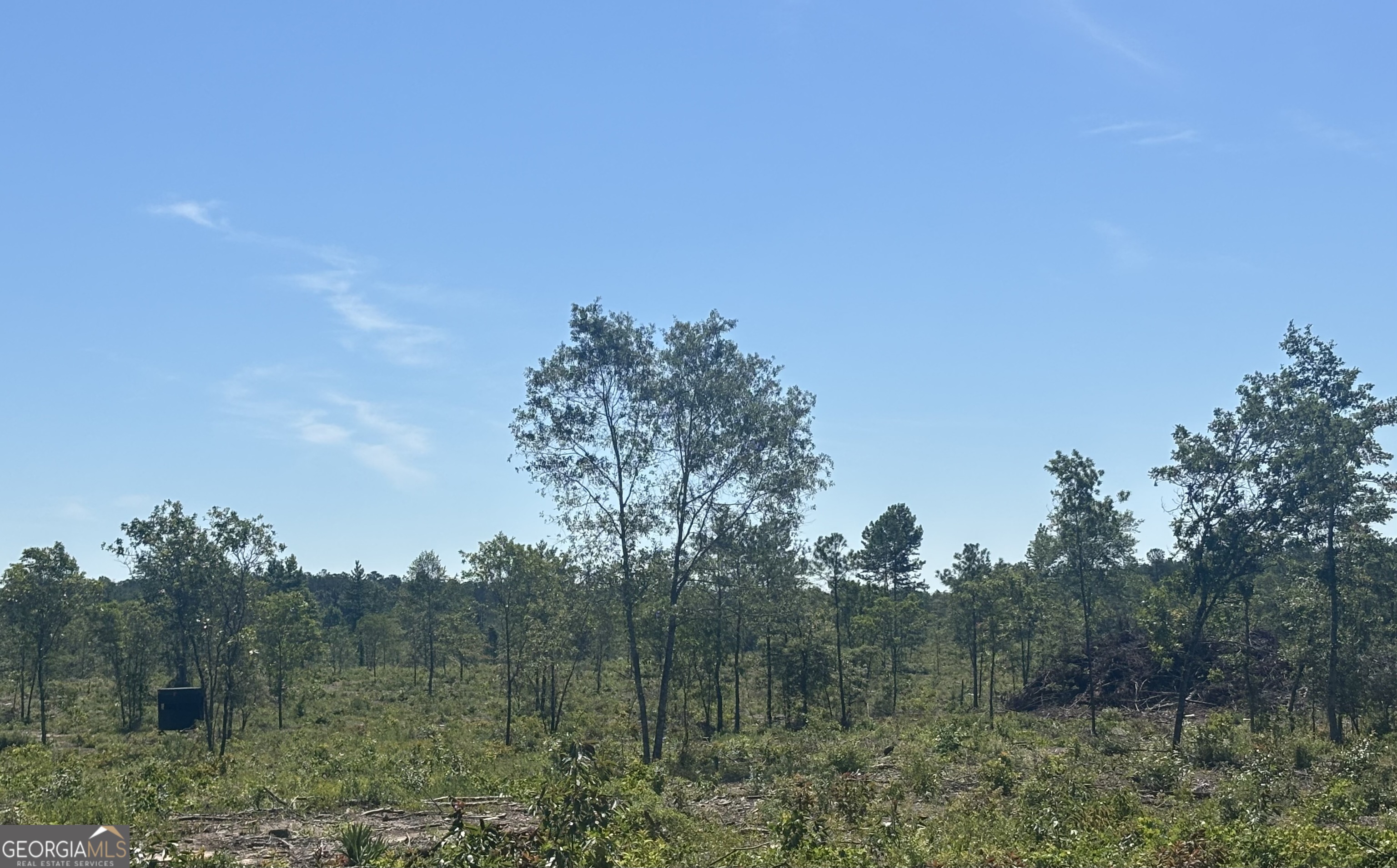 38 Acres N Ga Highway 240 N Connector Property Photo 5