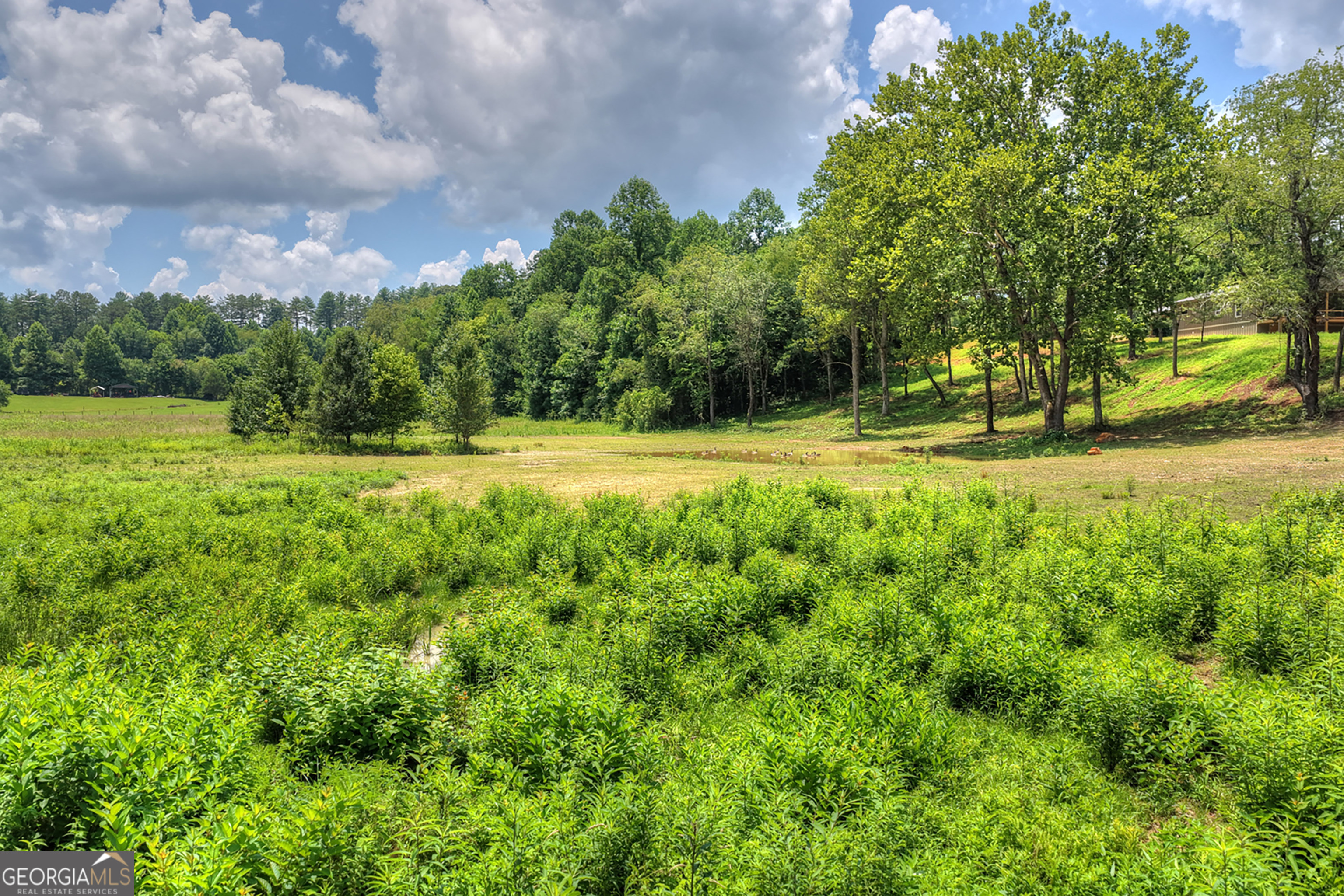 2125 Shady Grove Property Photo 4
