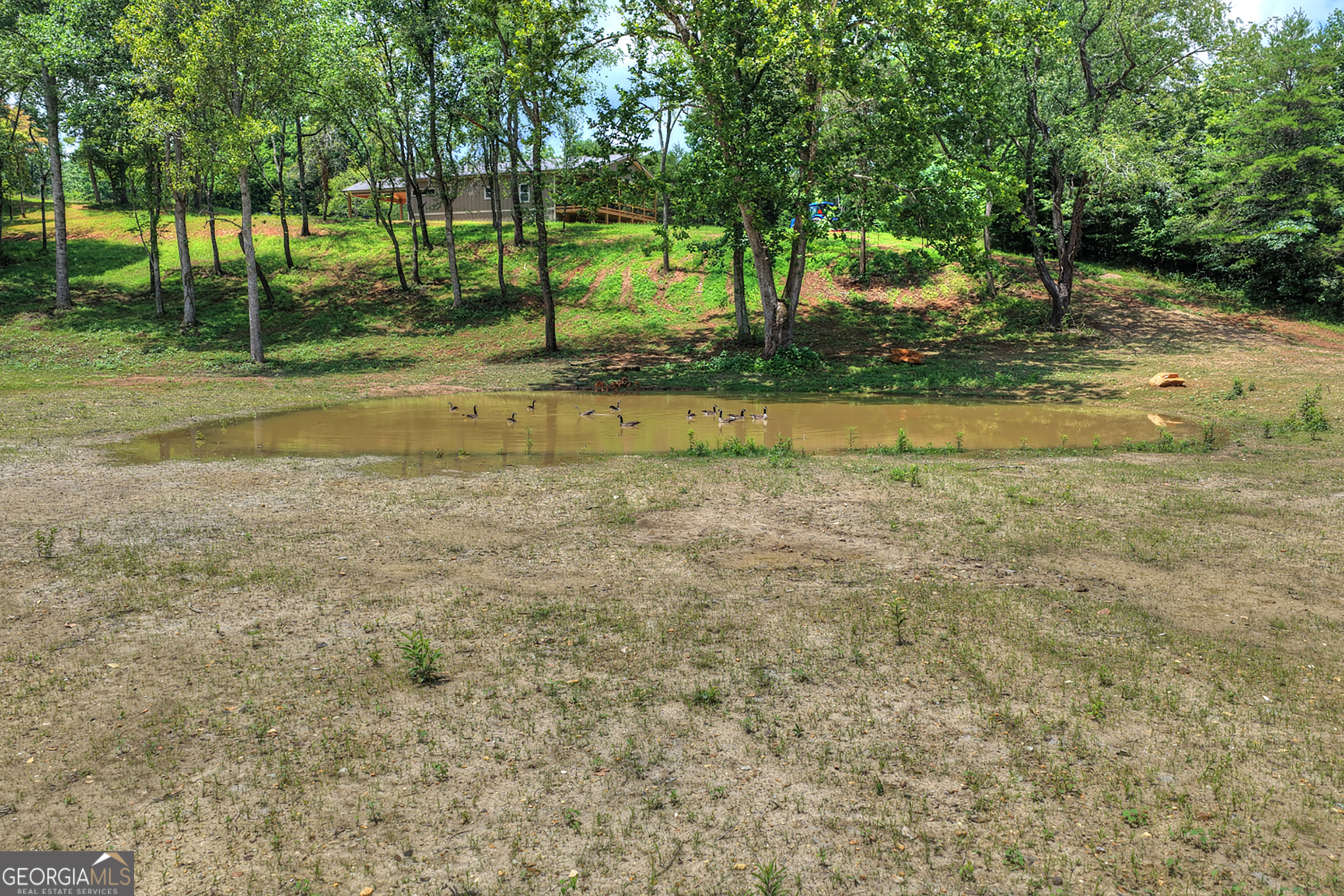 2125 Shady Grove Property Photo 44