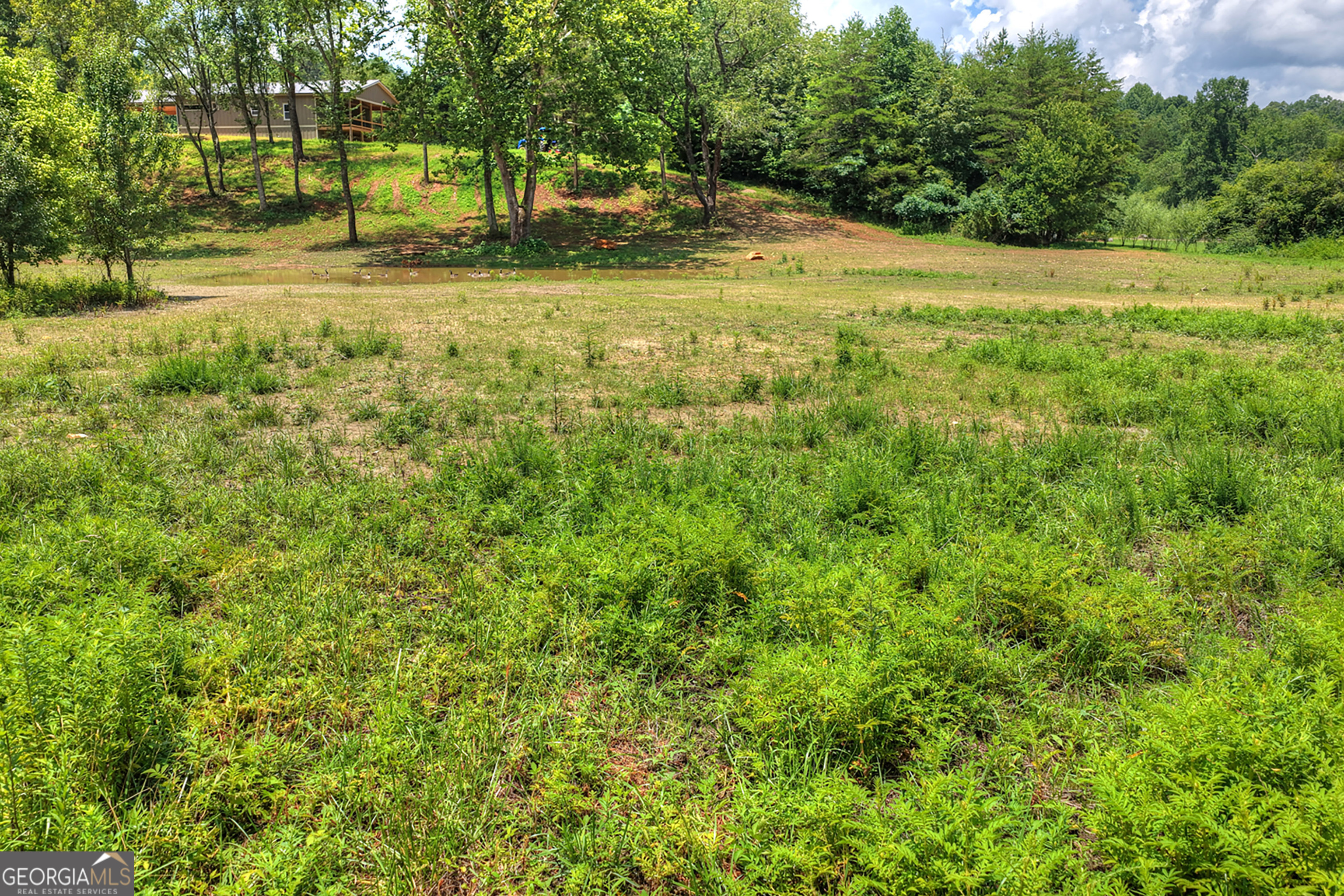 2125 Shady Grove Property Photo 45