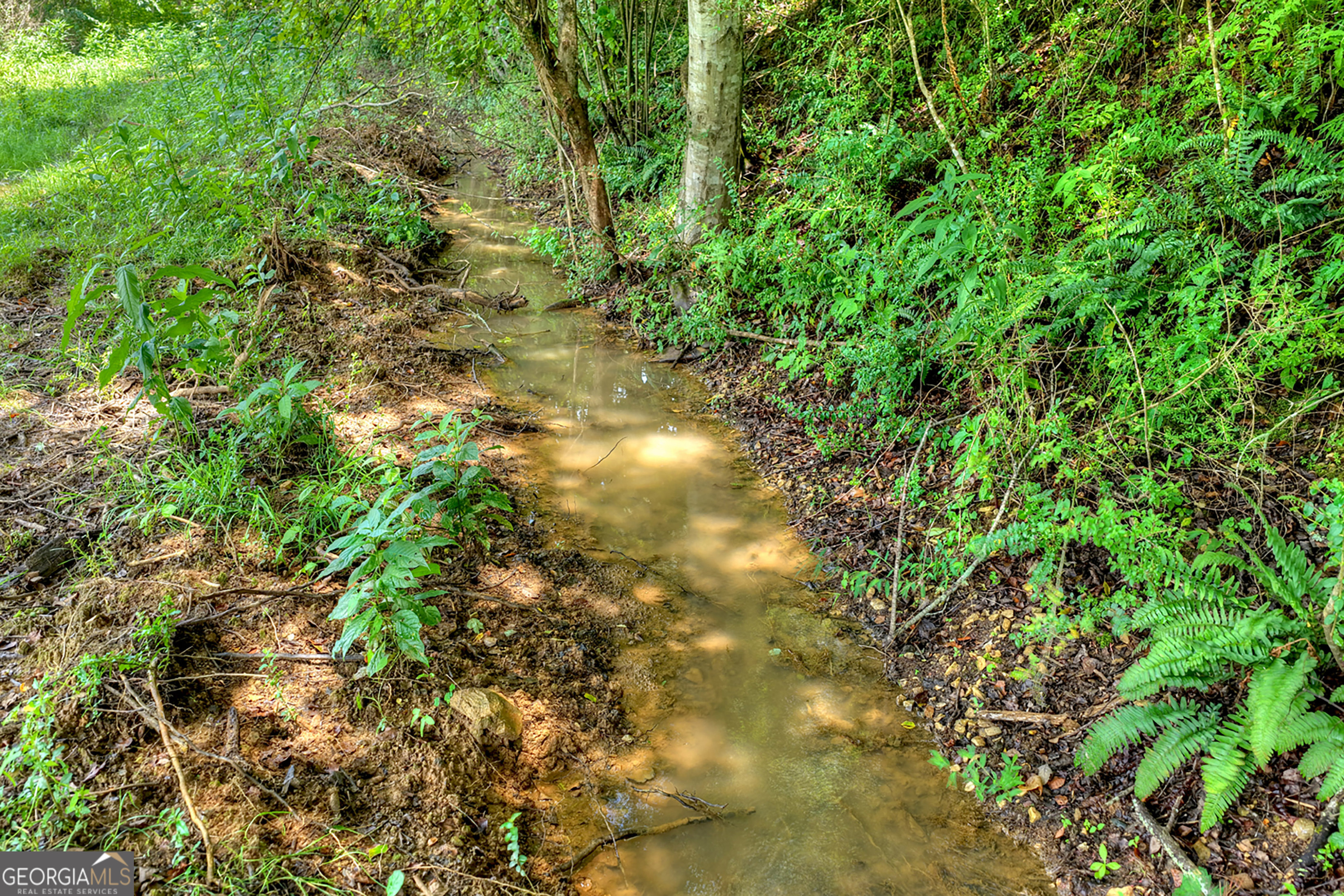 2125 Shady Grove Property Photo 47